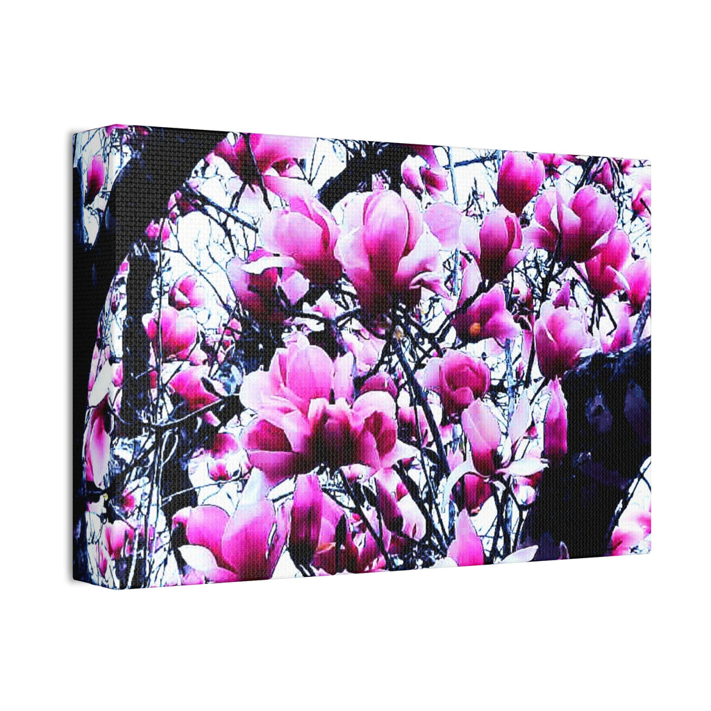 Pink Tulip Tree Blossoms Canvas