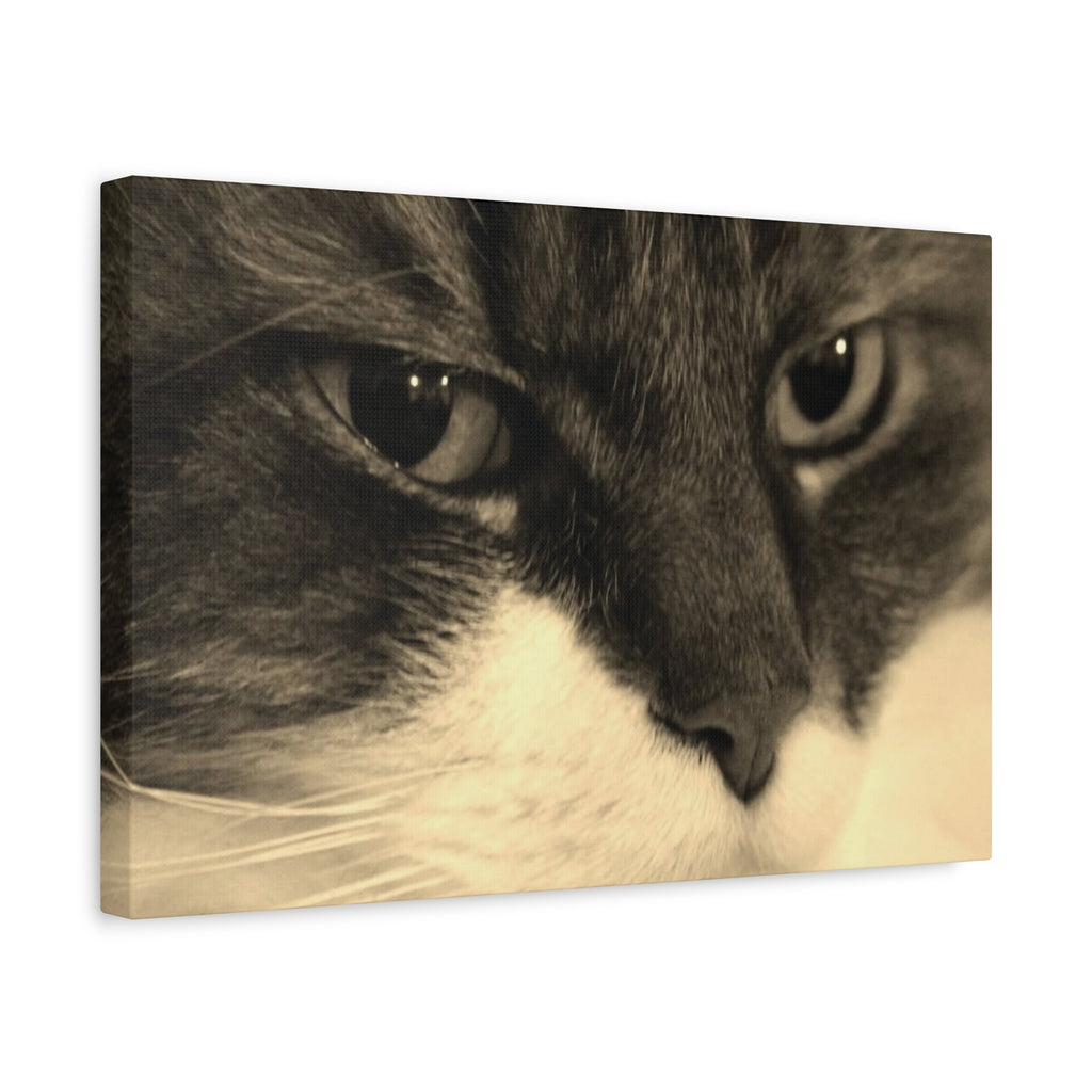 Cat Portrait Matte Canvas Wall Art