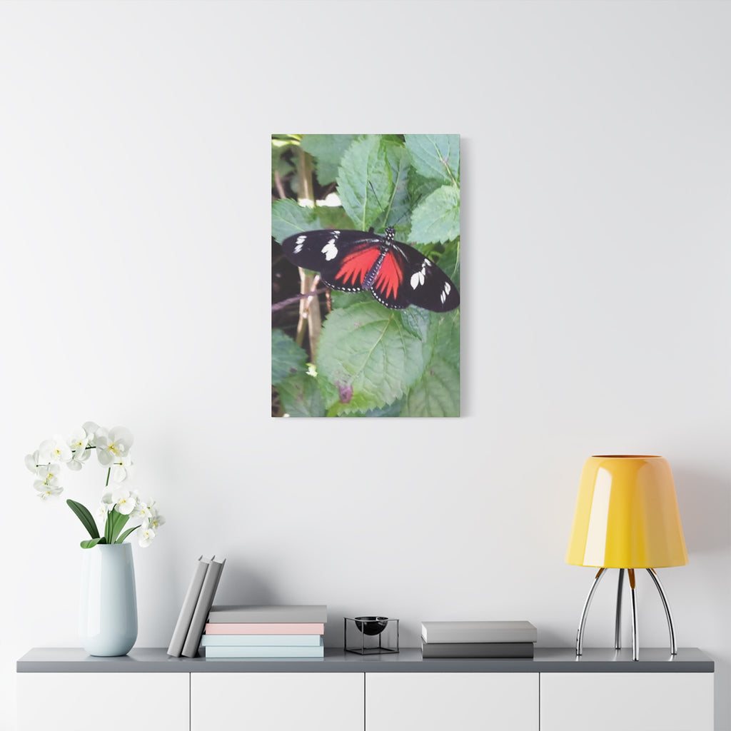 Butterfly Canvas Wall Art