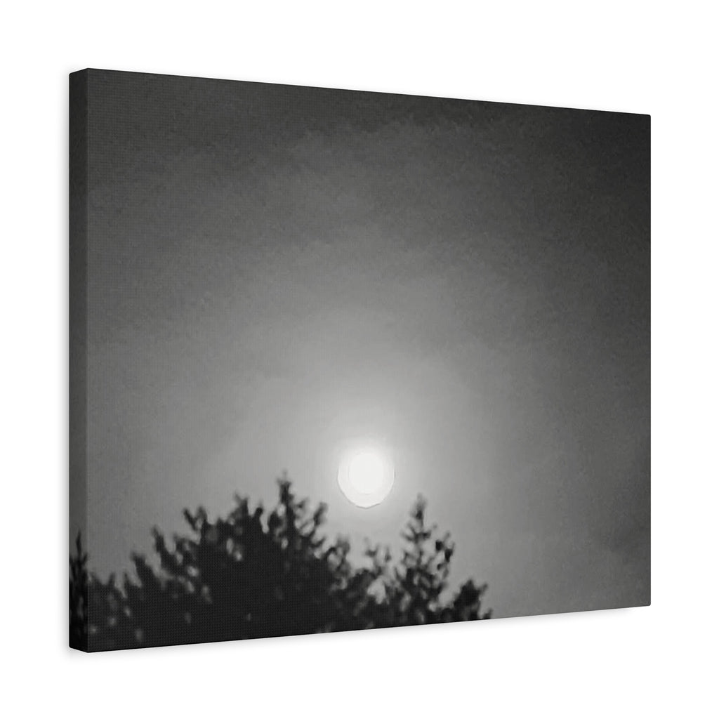 Moonlit Sky Canvas Wall Art — Black & White Night Landscape