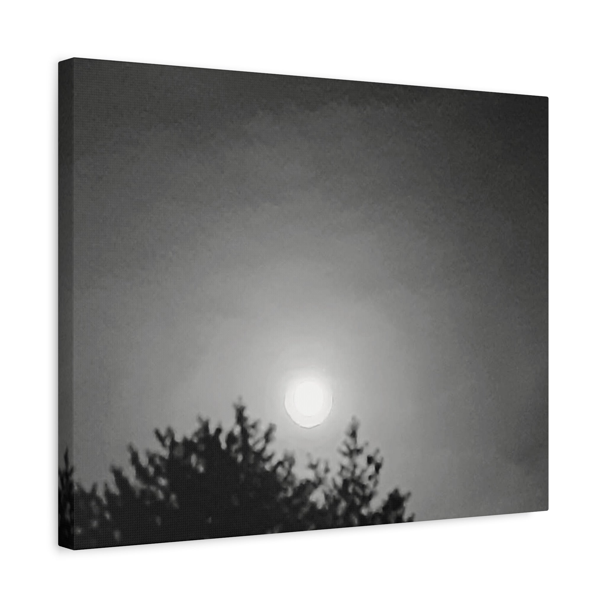 Moonlit Sky Canvas Wall Art — Black & White Night Landscape