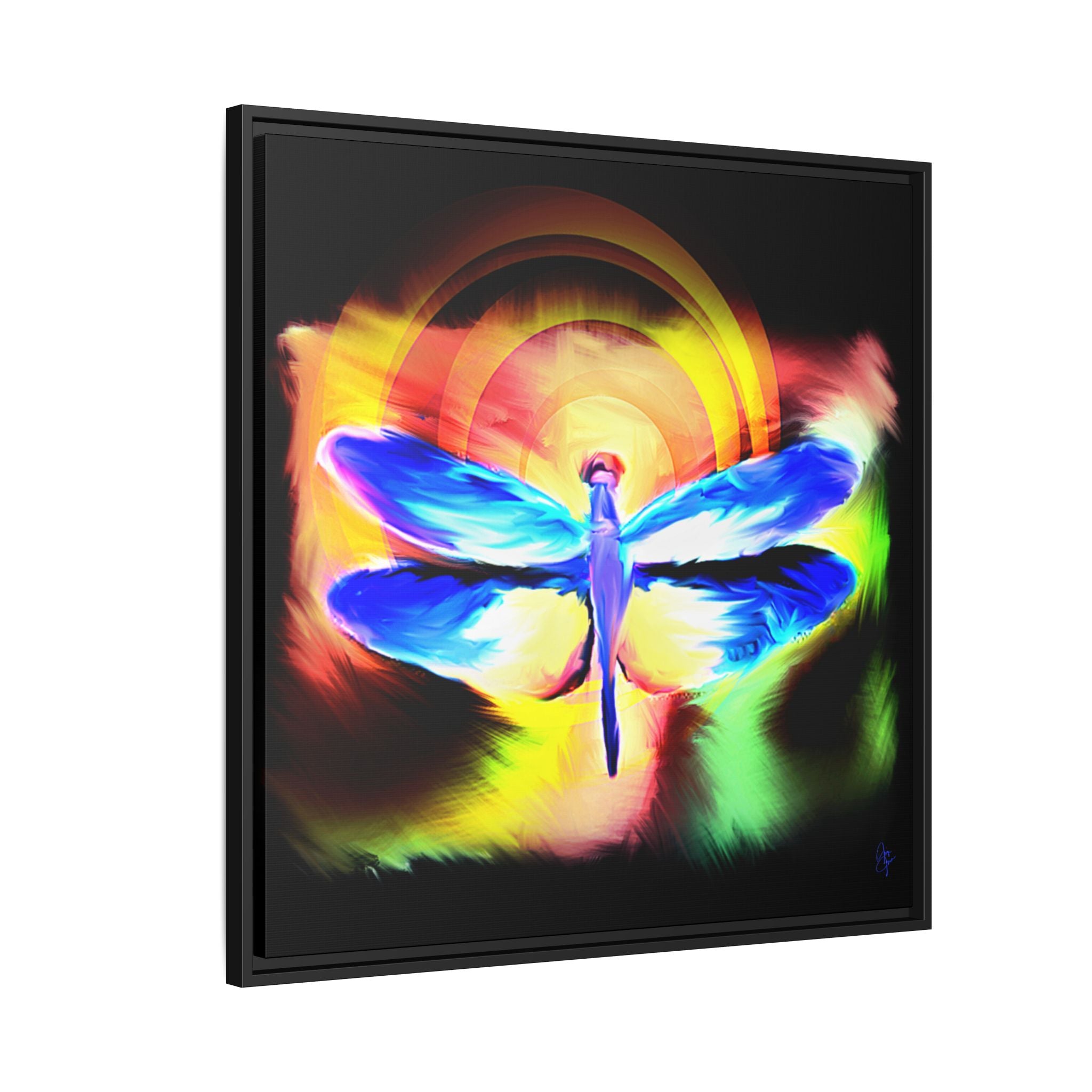 Dragonfly Rainbow