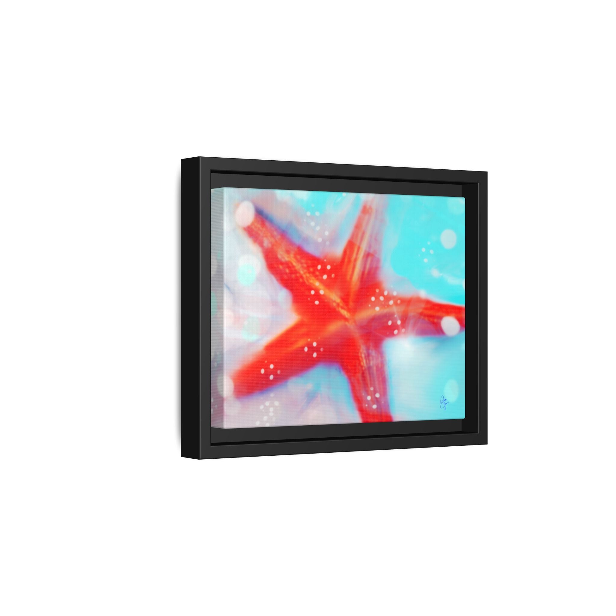 Starfish Life