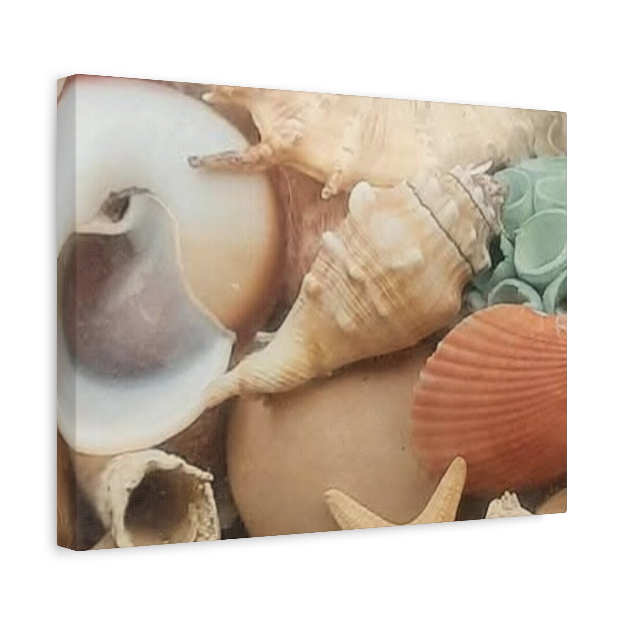 Seashells Beach Canvas Wall Art – Matte Stretched 1.25"