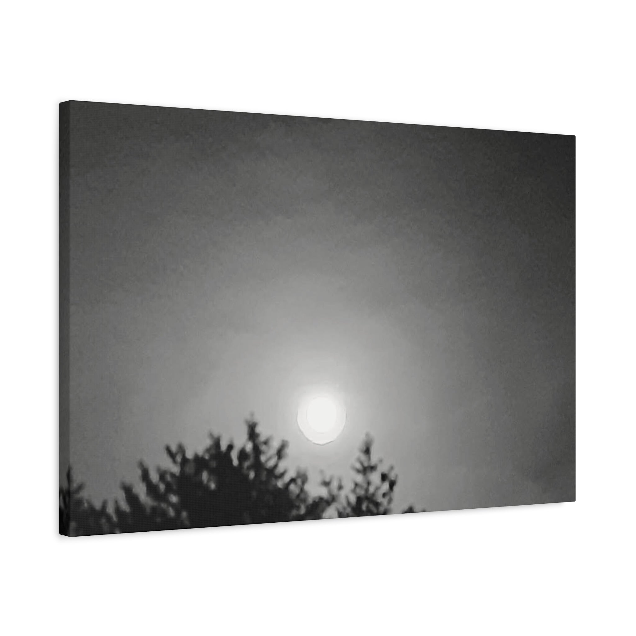 Moonlit Sky Canvas Wall Art — Black & White Night Landscape