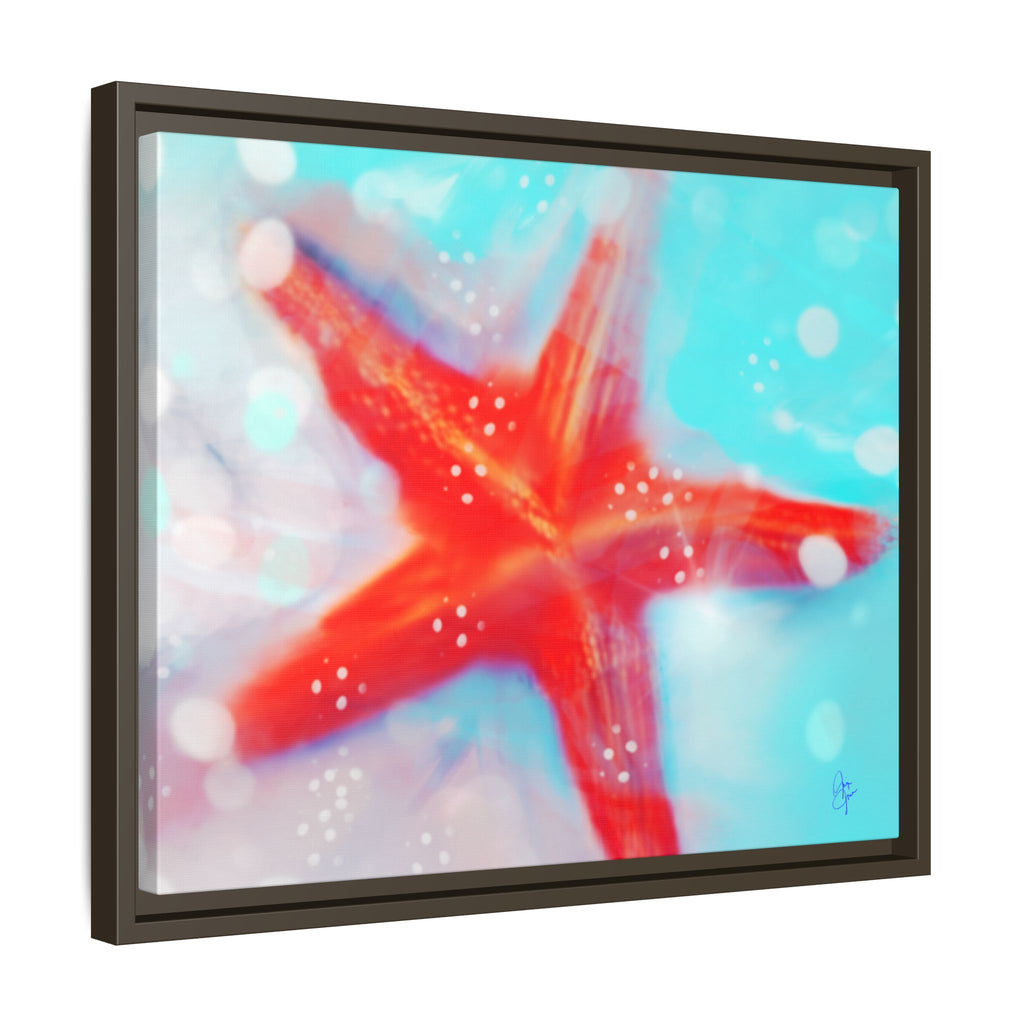Starfish Life