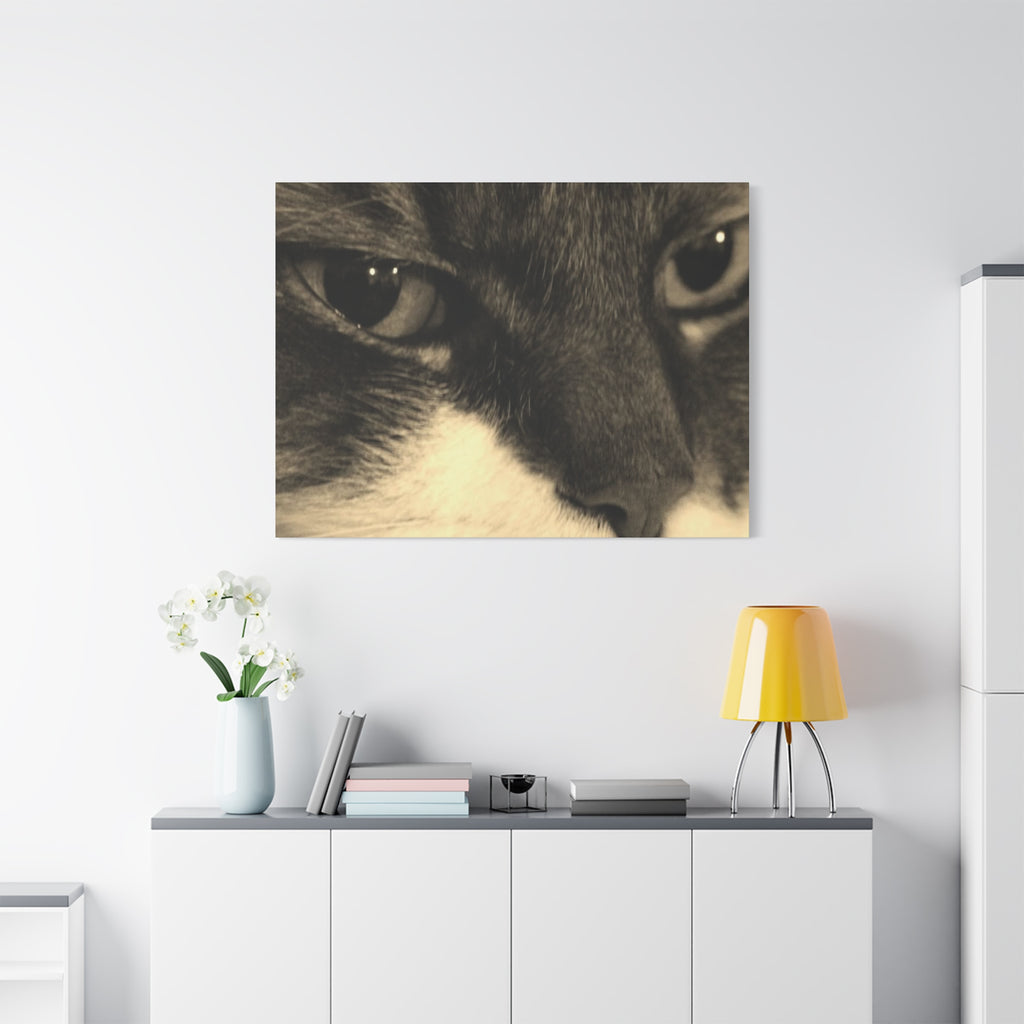Cat Portrait Matte Canvas Wall Art