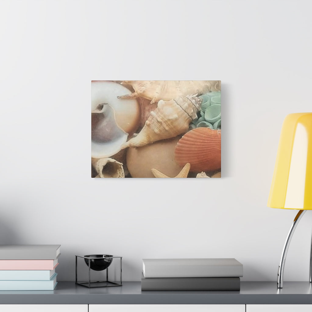 Seashells Beach Canvas Wall Art – Matte Stretched 1.25"