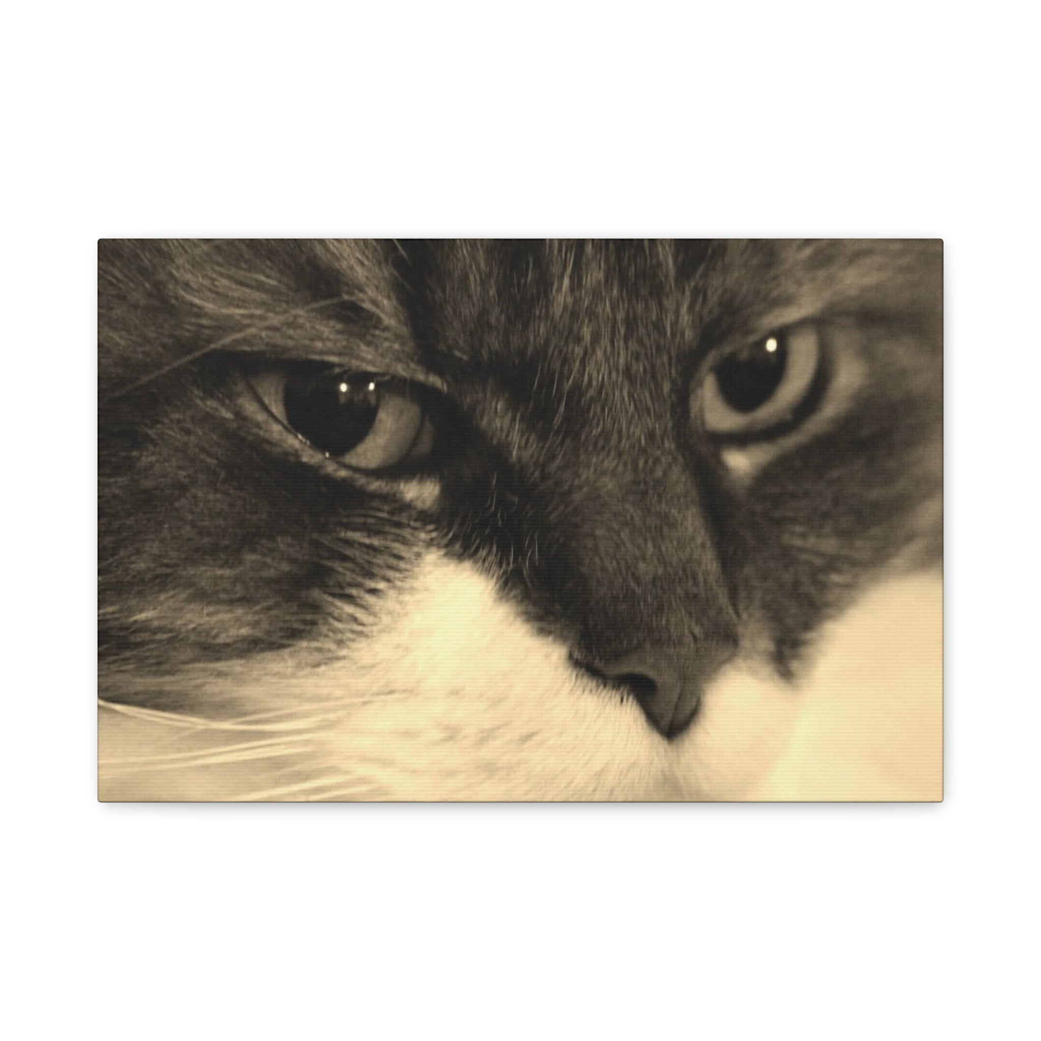 Cat Portrait Matte Canvas Wall Art