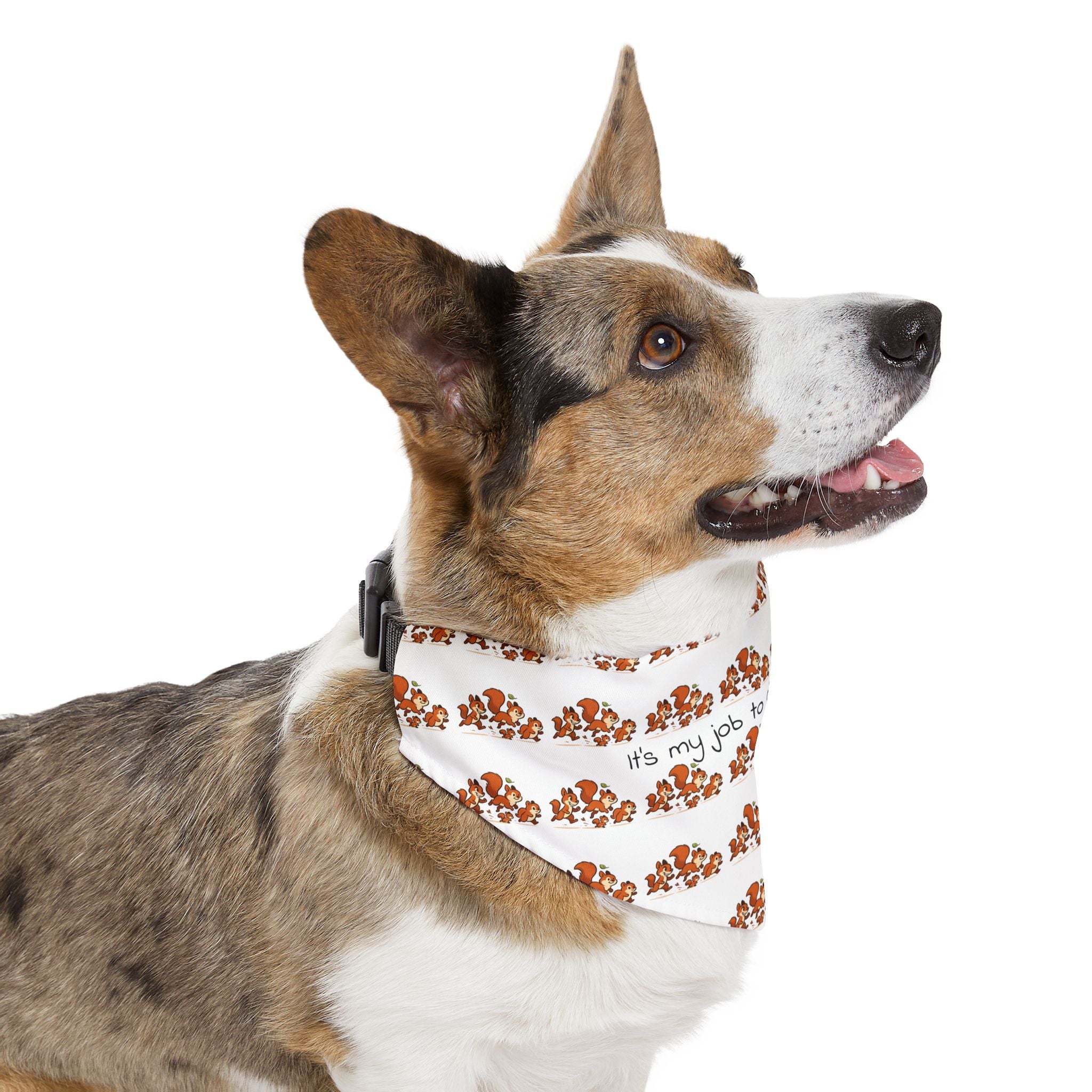 Dog Bandana Collar - What dog doesn't like to chase squirrels