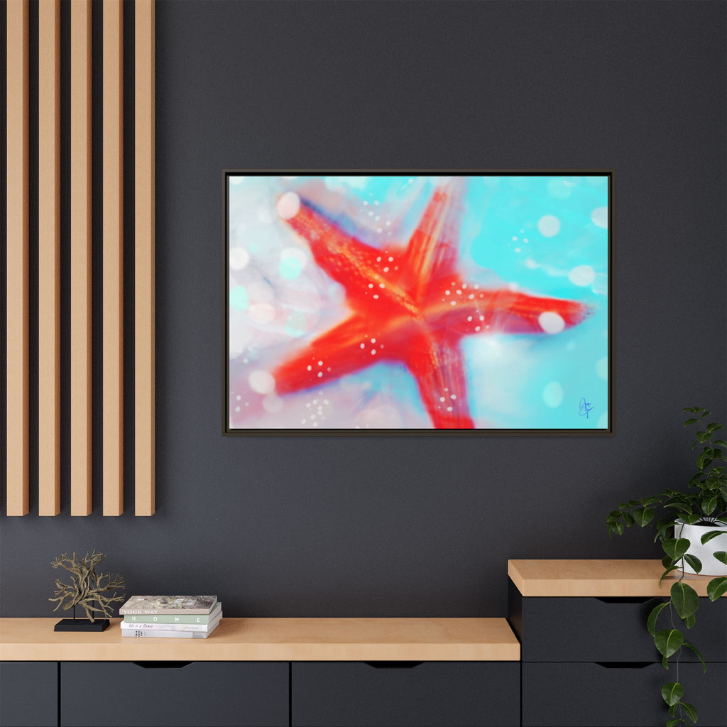 Starfish Life