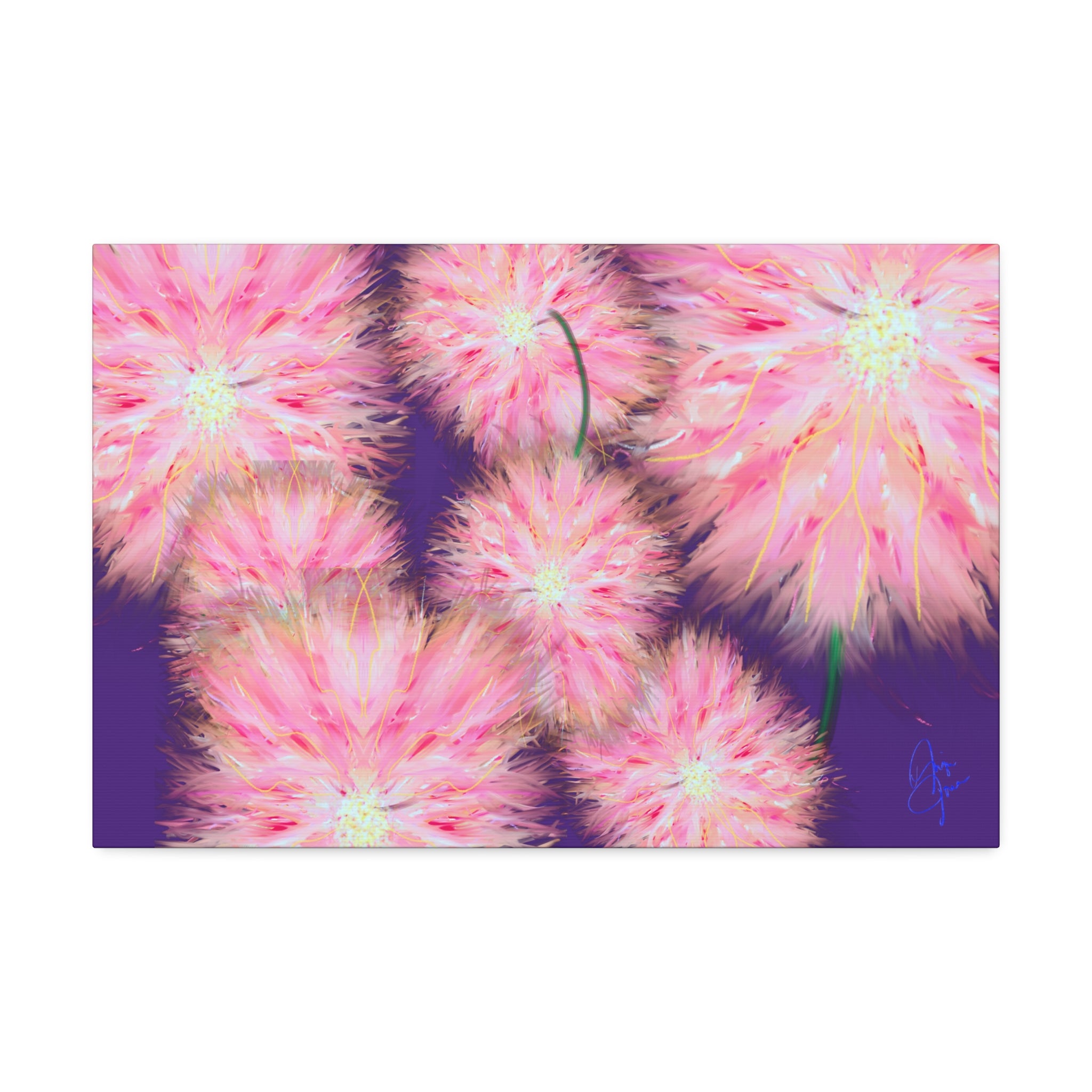 Pink Dandelion Burst Canvas Print — Stretched 1.5" Floral Wall Art