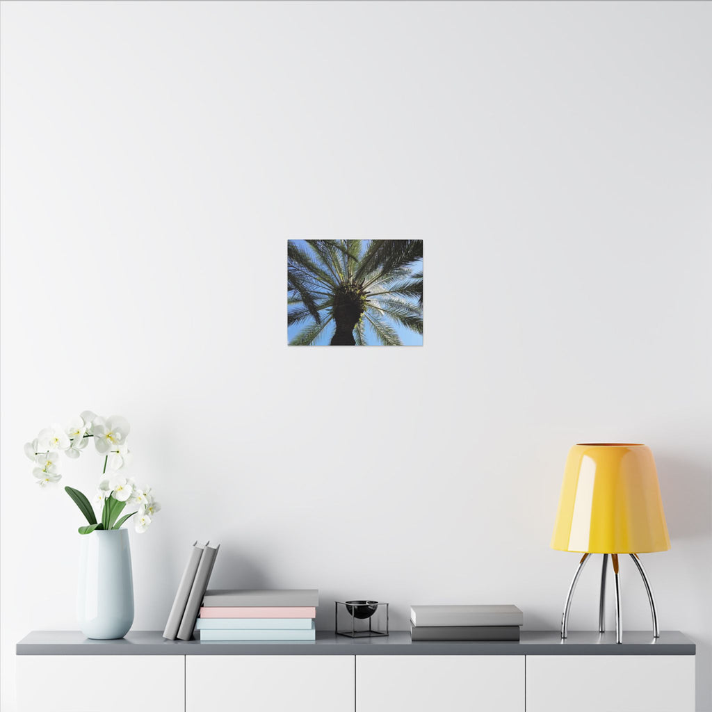 Palm Tree Matte Canvas Wall Art - Tropical Vibe
