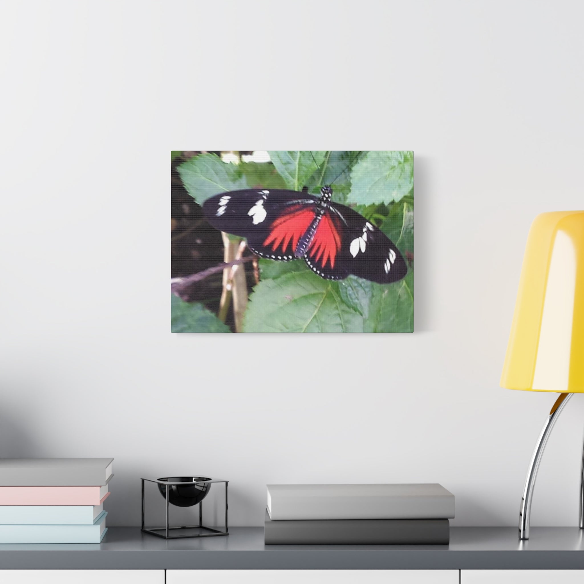 Butterfly Canvas Wall Art