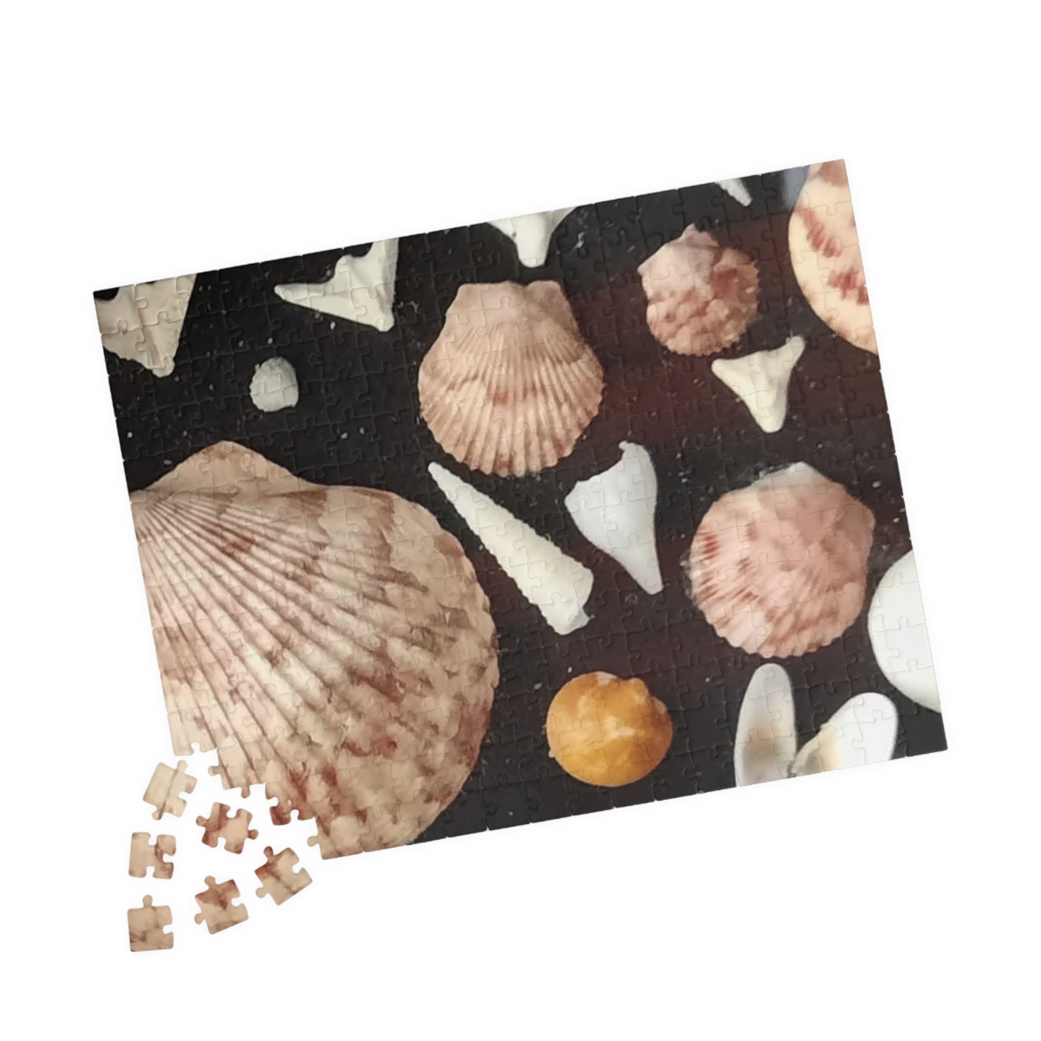 Seashell Puzzle Collection - 110 to 1014-Piece Jigsaw for Relaxation and Family Fun