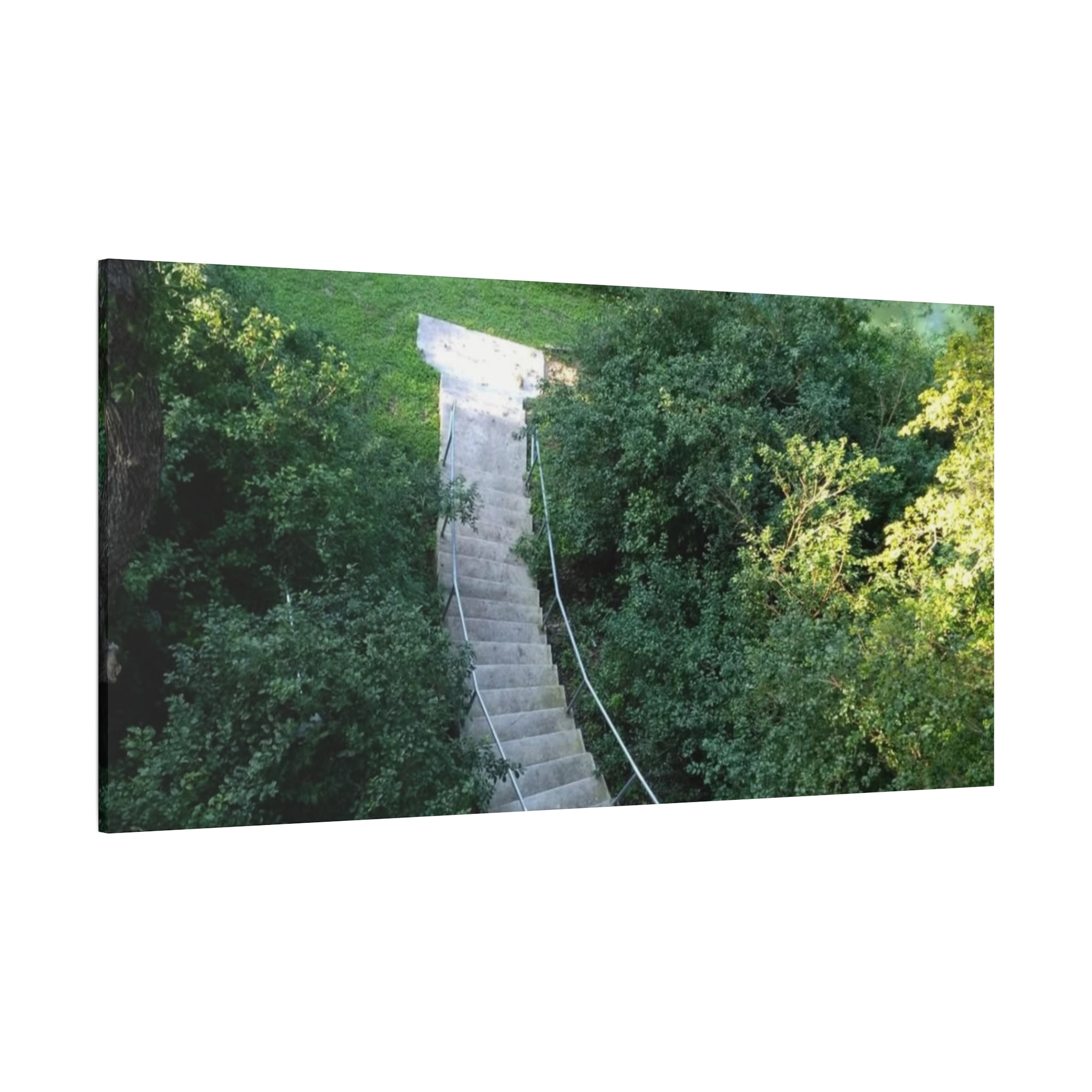 Canvas Wall Art - Forest Stairway Matte Stretched Canvas (1.25")