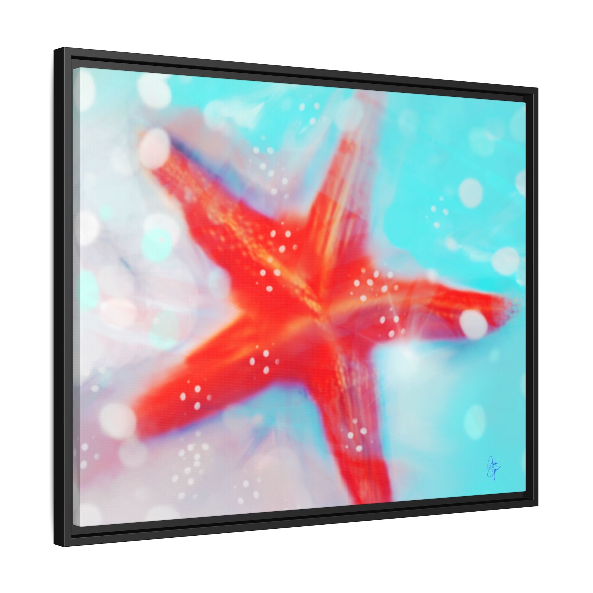 Starfish Life