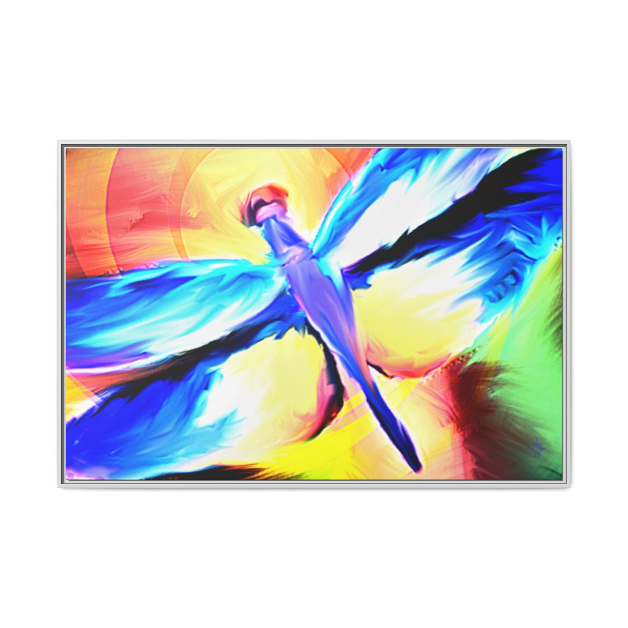 Dragonfly Rainbow