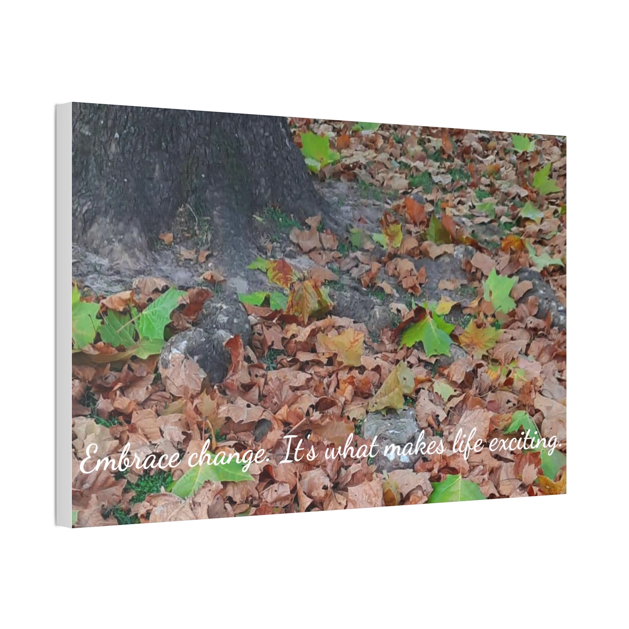 Autumn Leaves Canvas Print — Stretched 1.5" Fall Wall Art