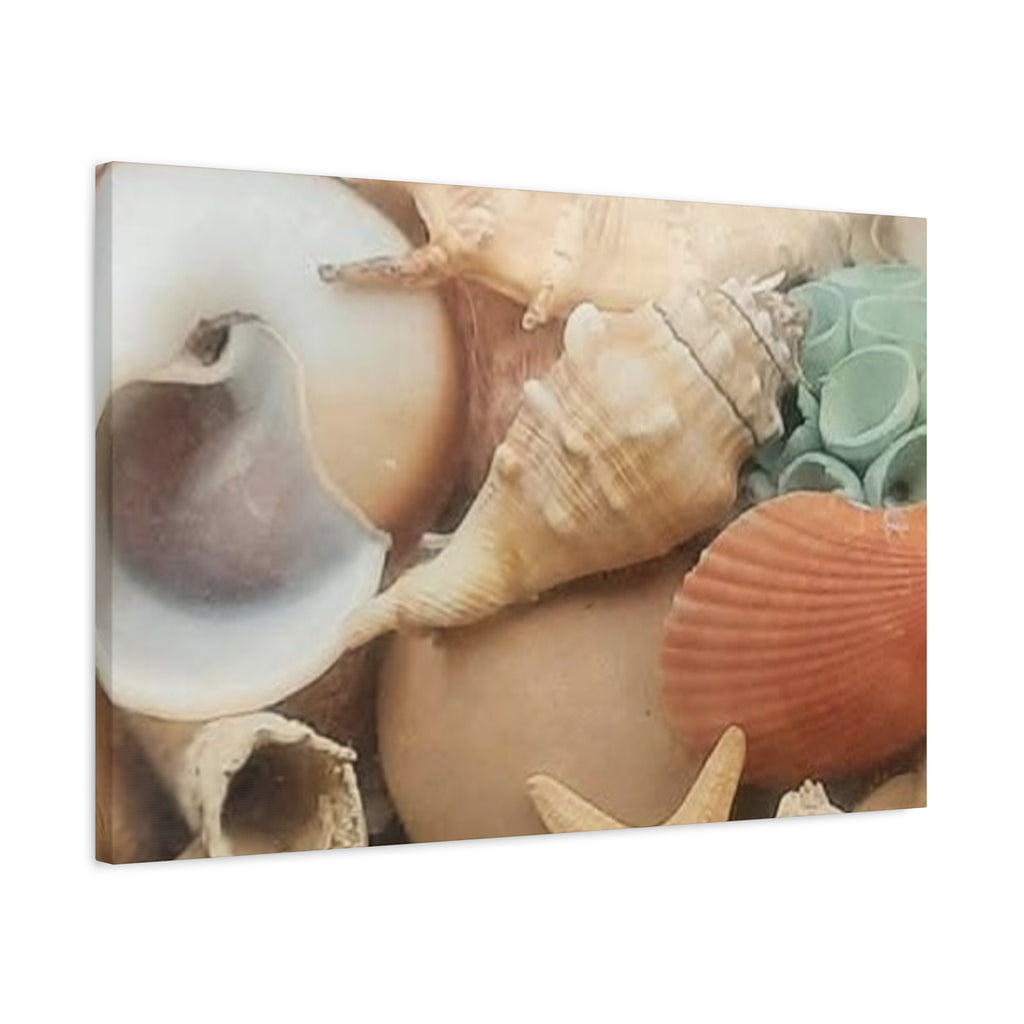 Seashells Beach Canvas Wall Art – Matte Stretched 1.25"