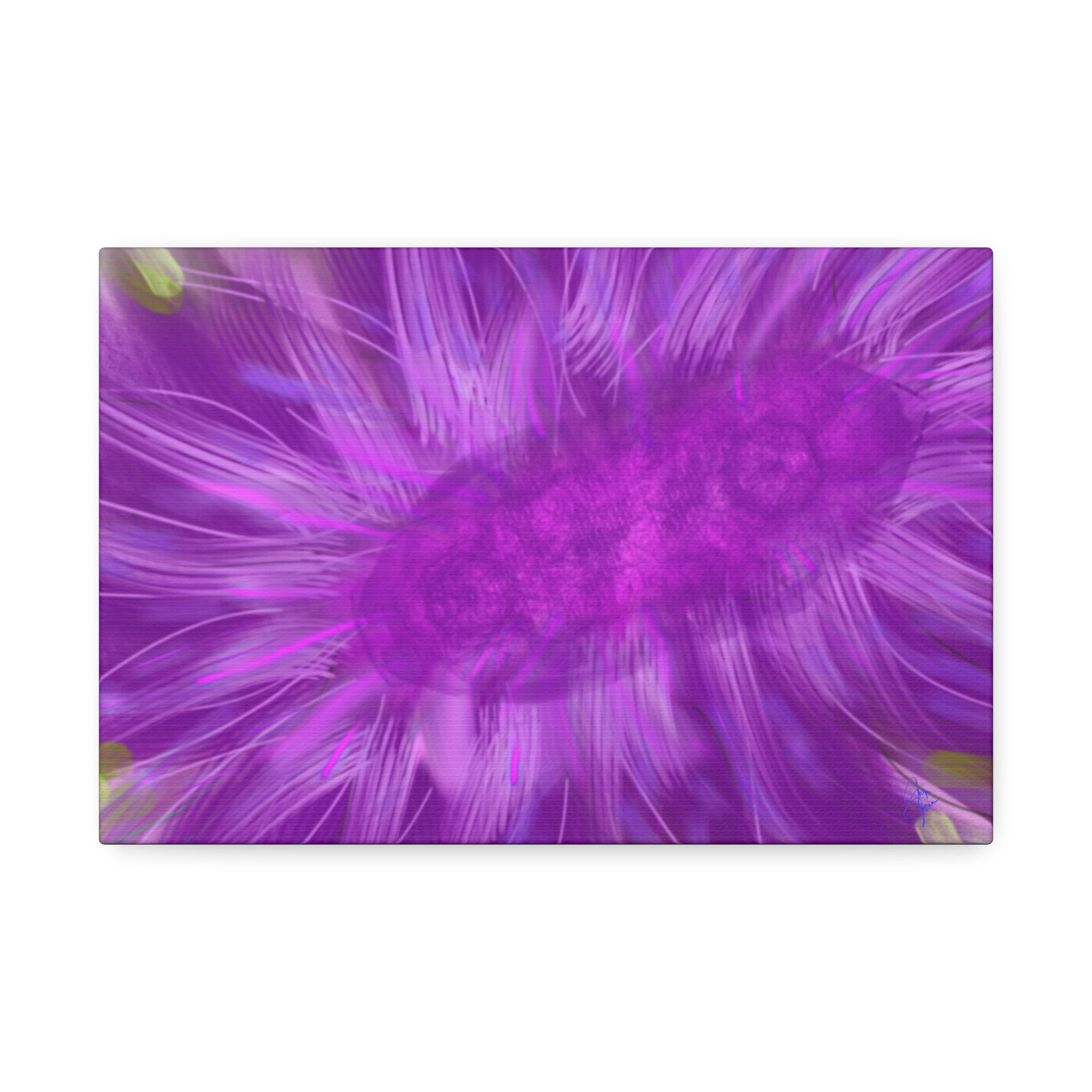 Purple Floral Burst Canvas Print – Abstract Flower Wall Art (Stretched 1.5")