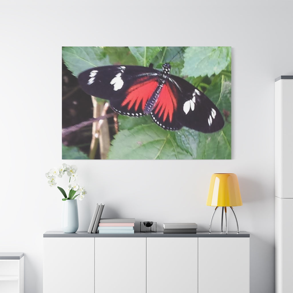 Butterfly Canvas Wall Art