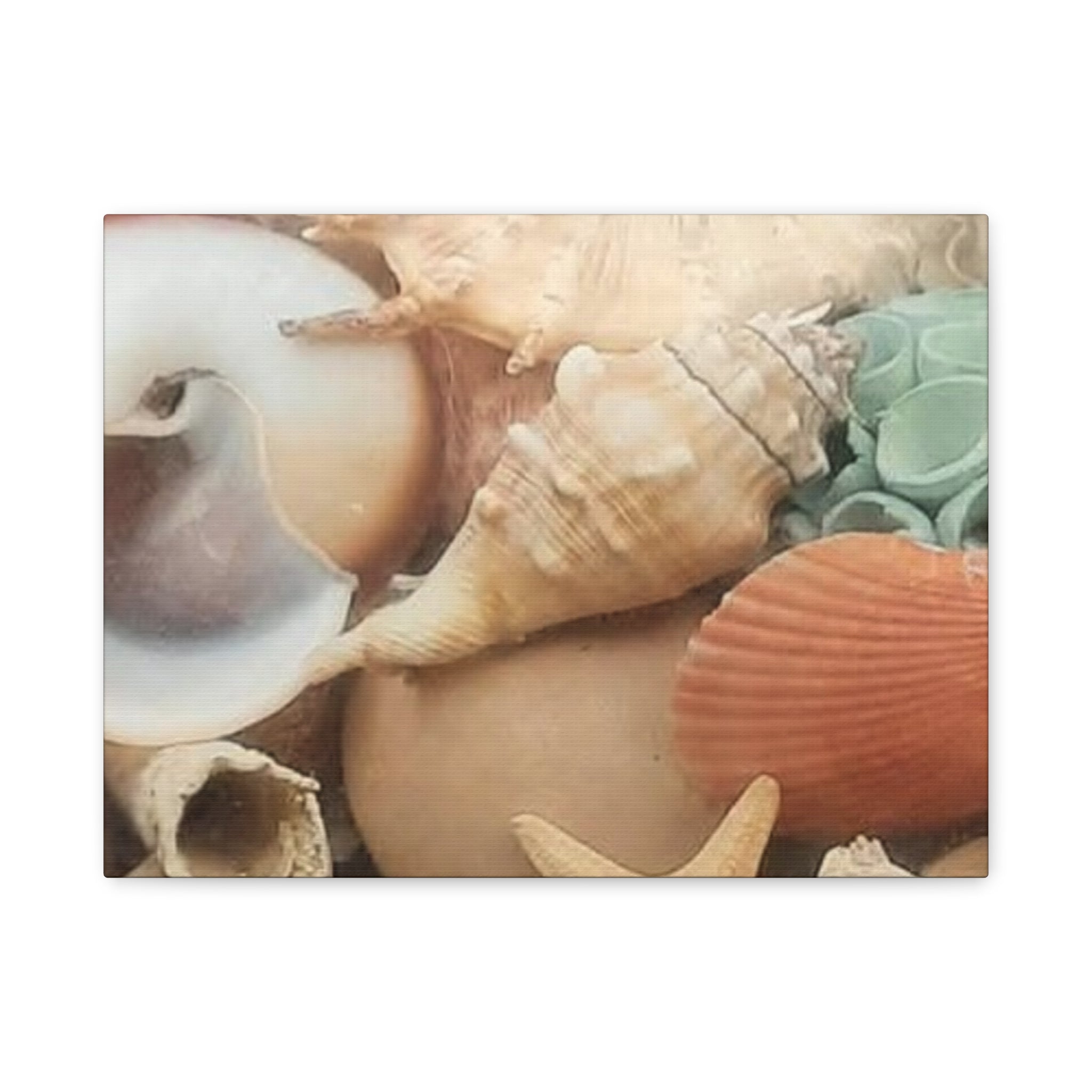 Seashells Beach Canvas Wall Art – Matte Stretched 1.25"