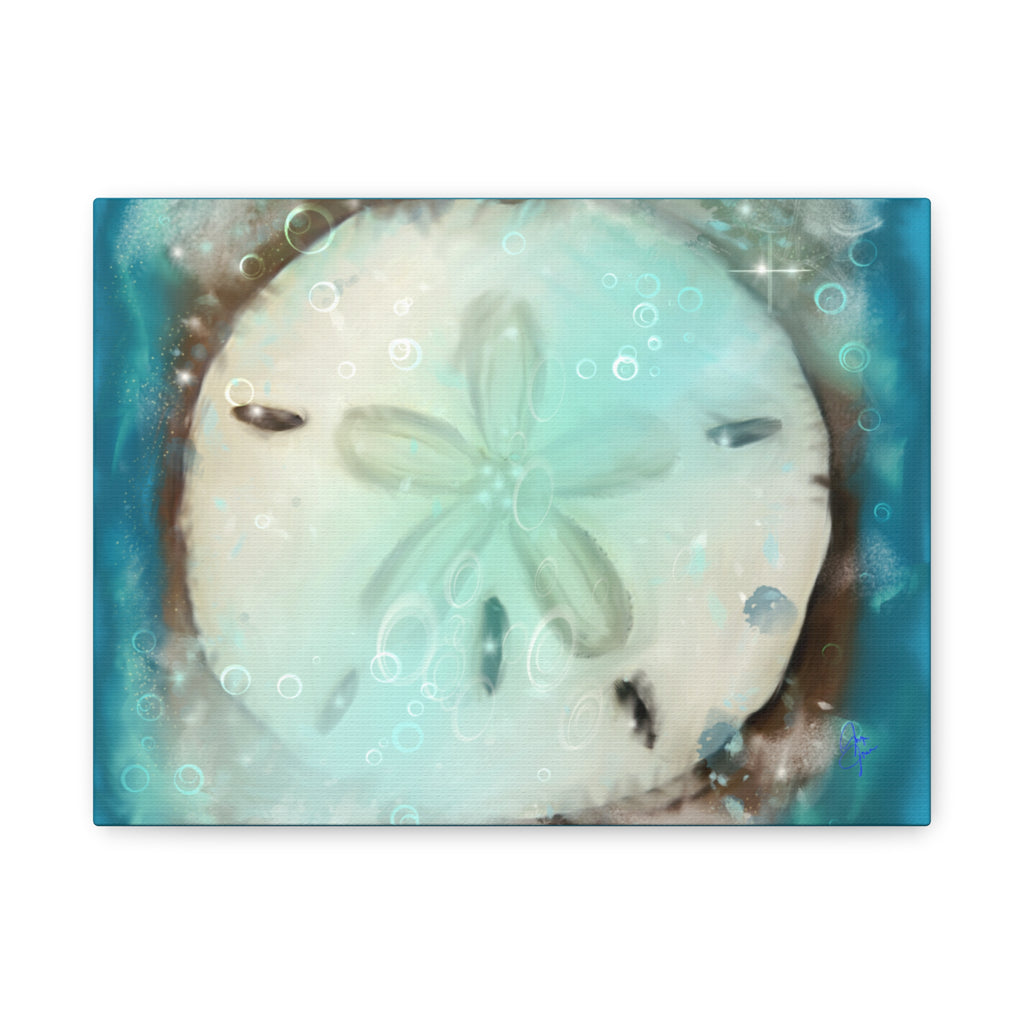 Sand Dollar Ocean Canvas Wall Art — Beach Coastal Nautical Decor