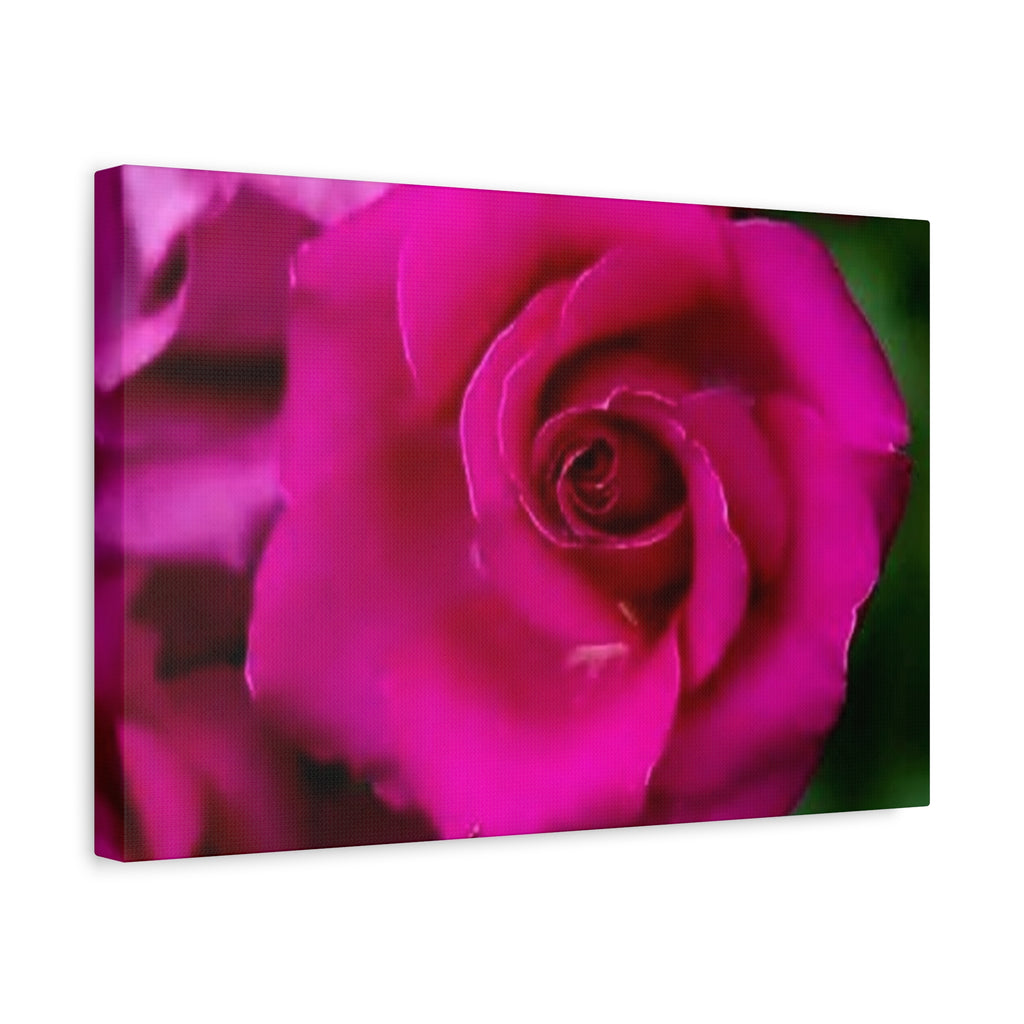 Hot Pink Rose Canvas Wall Art — Stretched Matte Floral Print