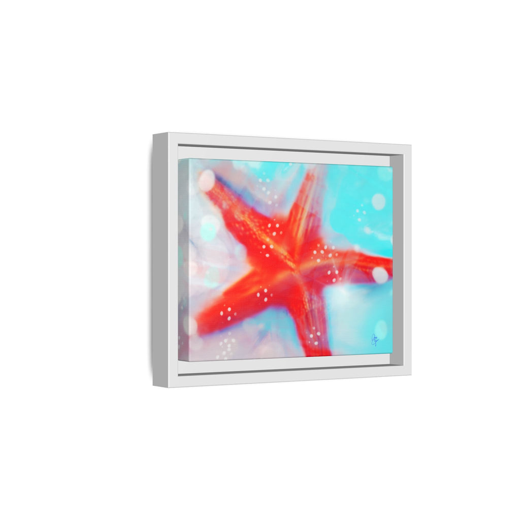 Starfish Life