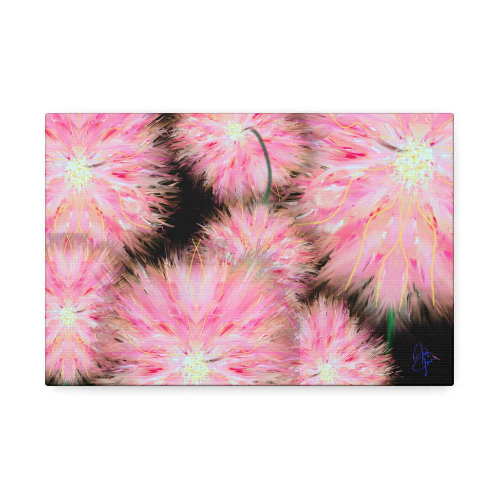 Pink Dandelion Burst Canvas Print — Stretched 1.5" Floral Wall Art