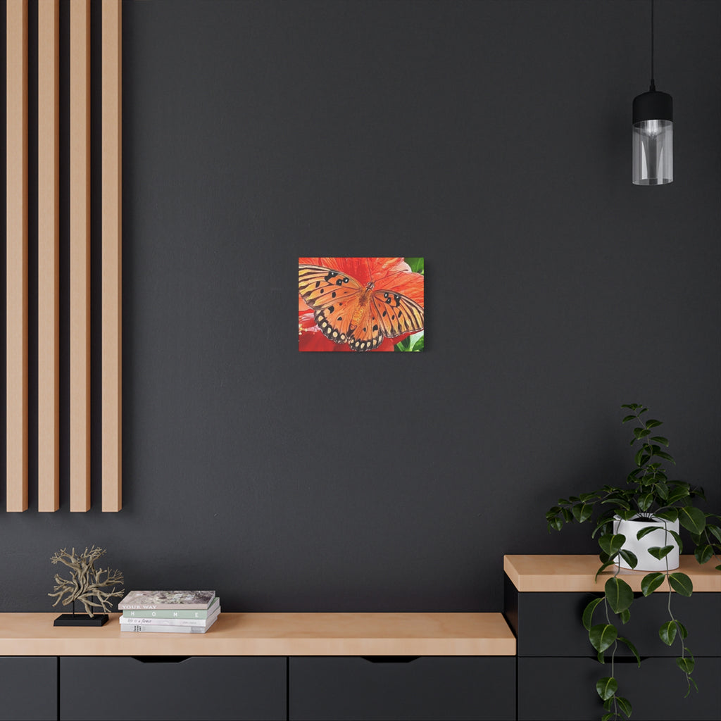 Vibrant Butterfly Canvas Art