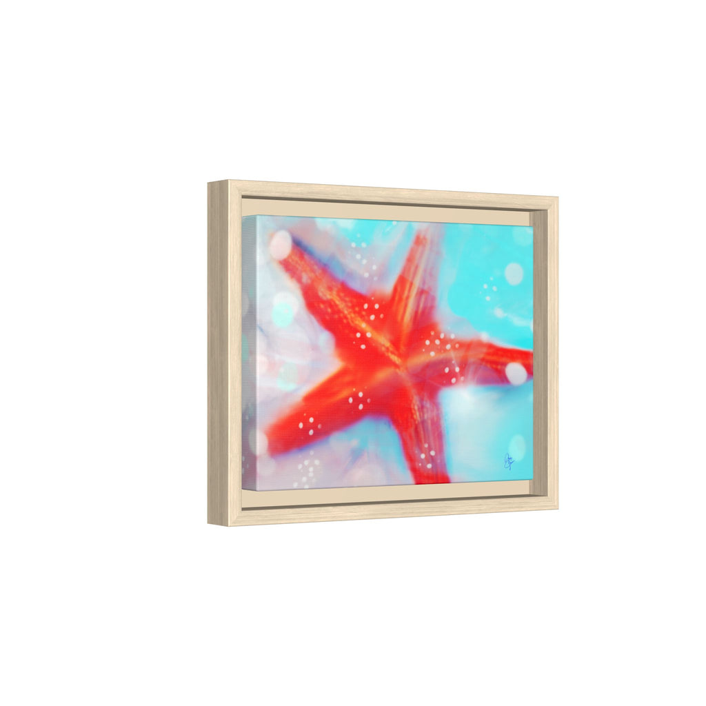 Starfish Life