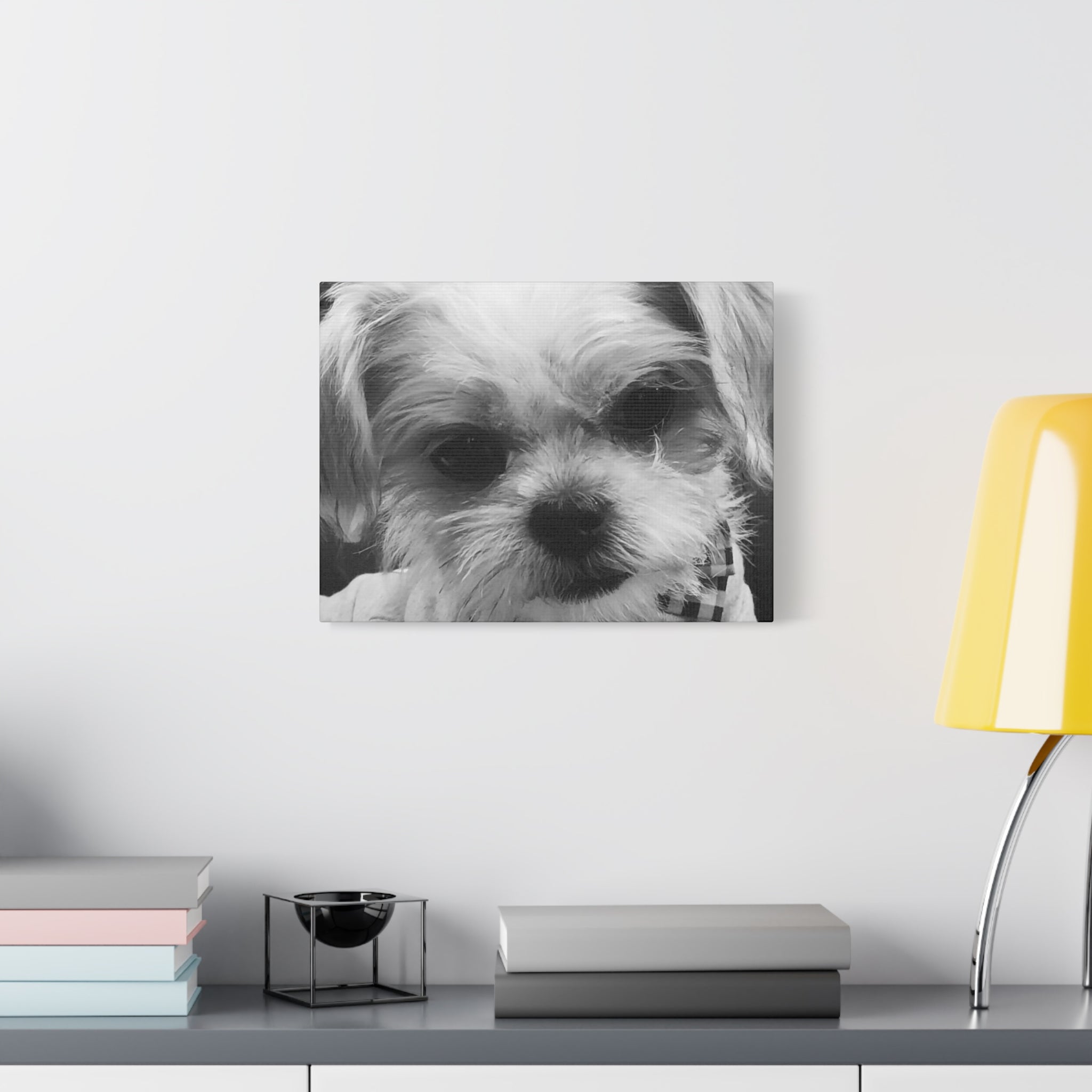 Black and White Dog Portrait Canvas Wall Art