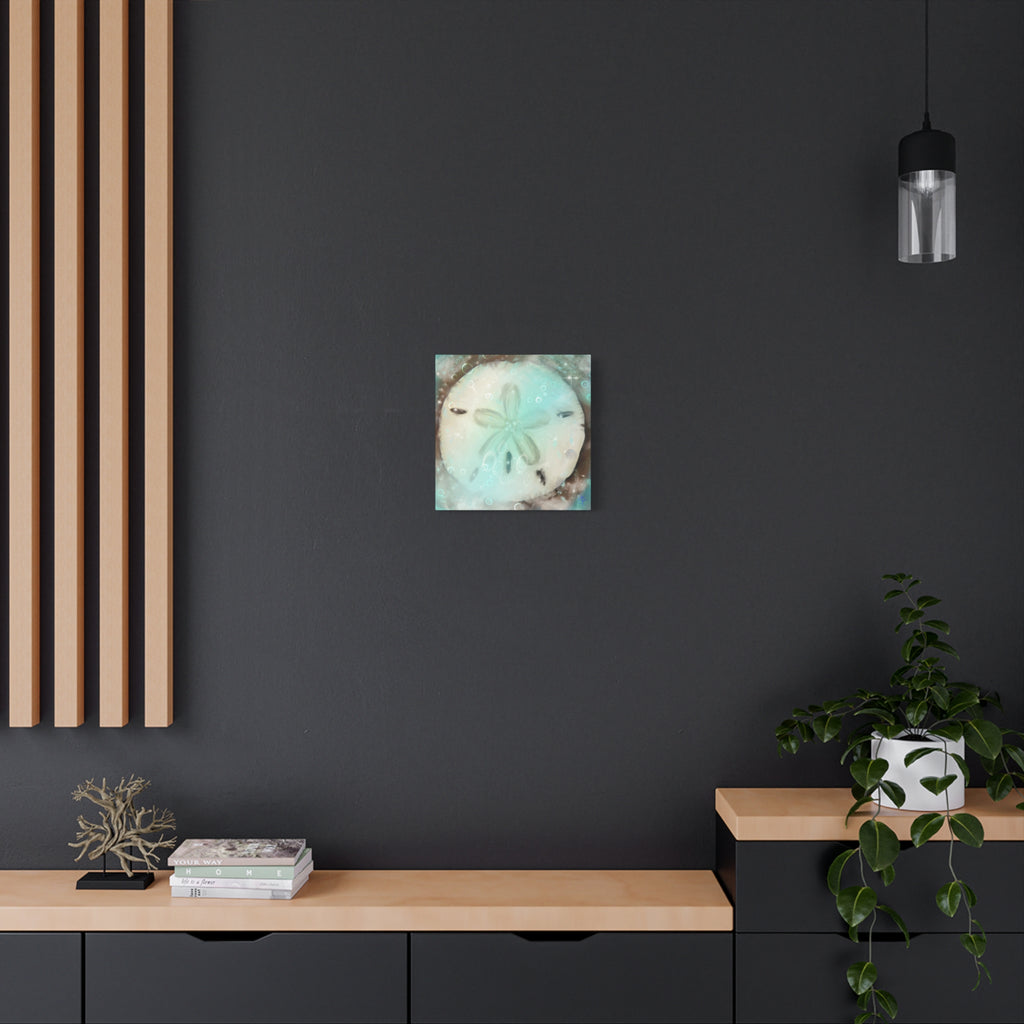 Sand Dollar Ocean Canvas Wall Art — Beach Coastal Nautical Decor