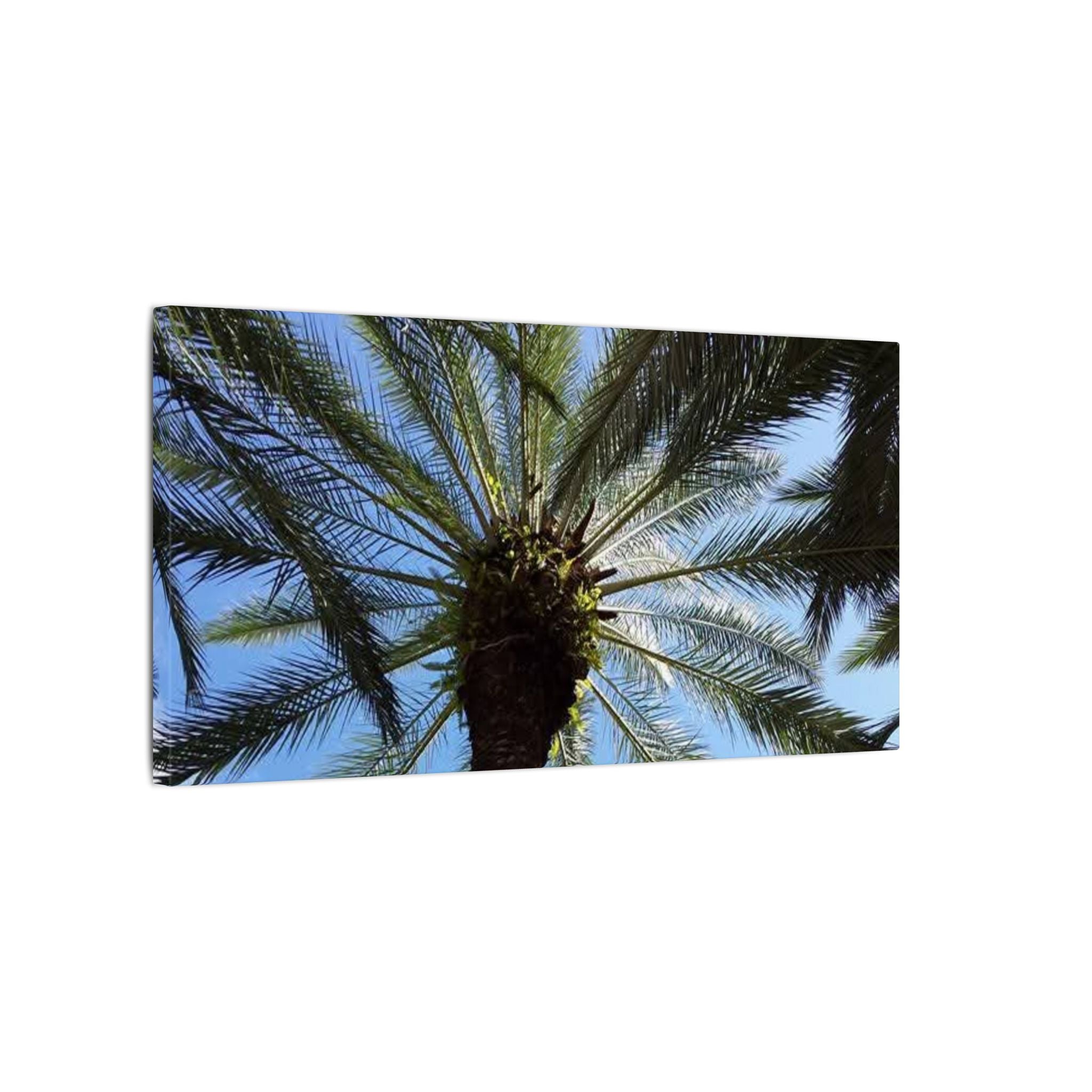 Palm Tree Matte Canvas Wall Art - Tropical Vibe