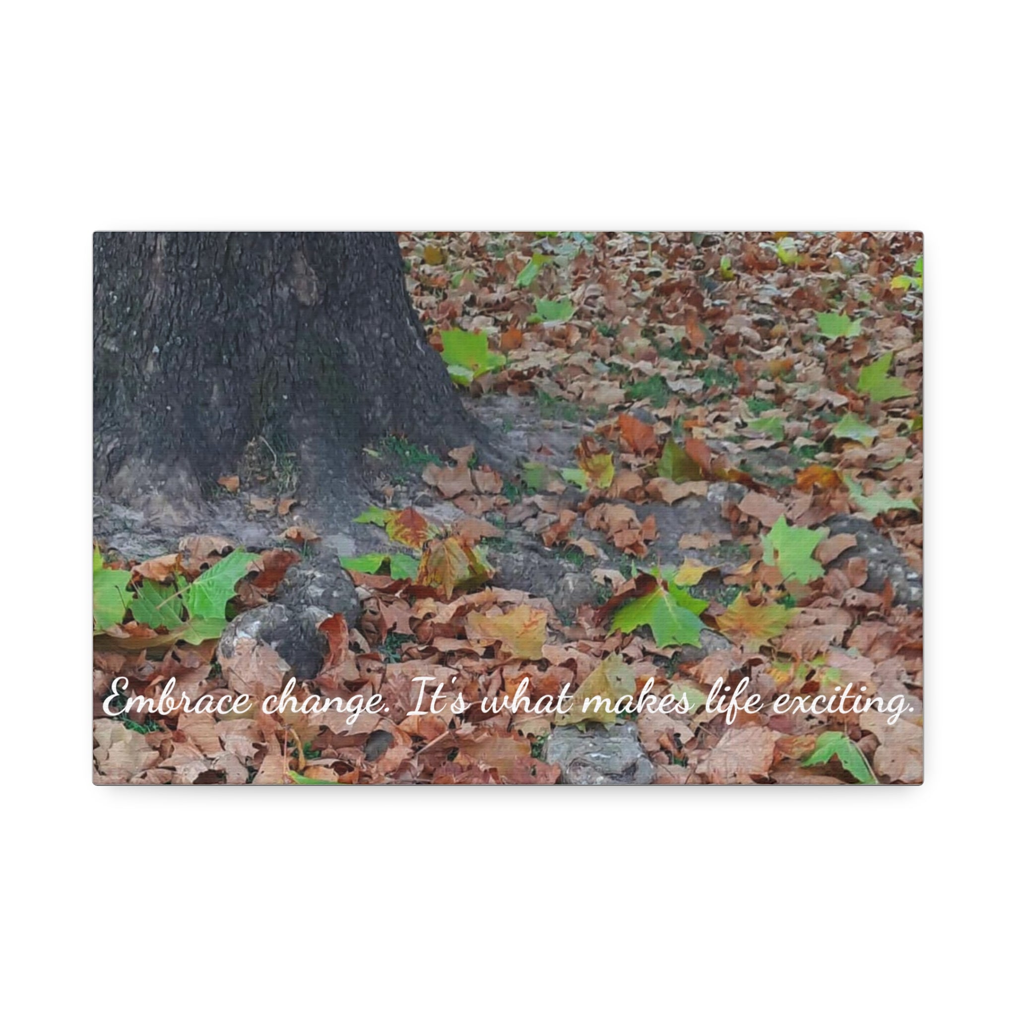 Autumn Leaves Canvas Print — Stretched 1.5" Fall Wall Art
