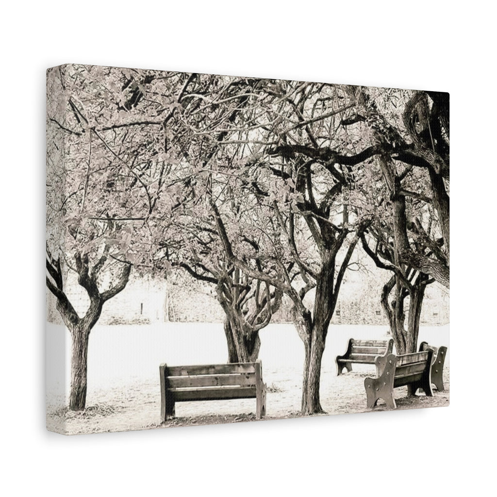 Matte Stretched Canvas Print — Vintage Park Bench Trees Wall Art