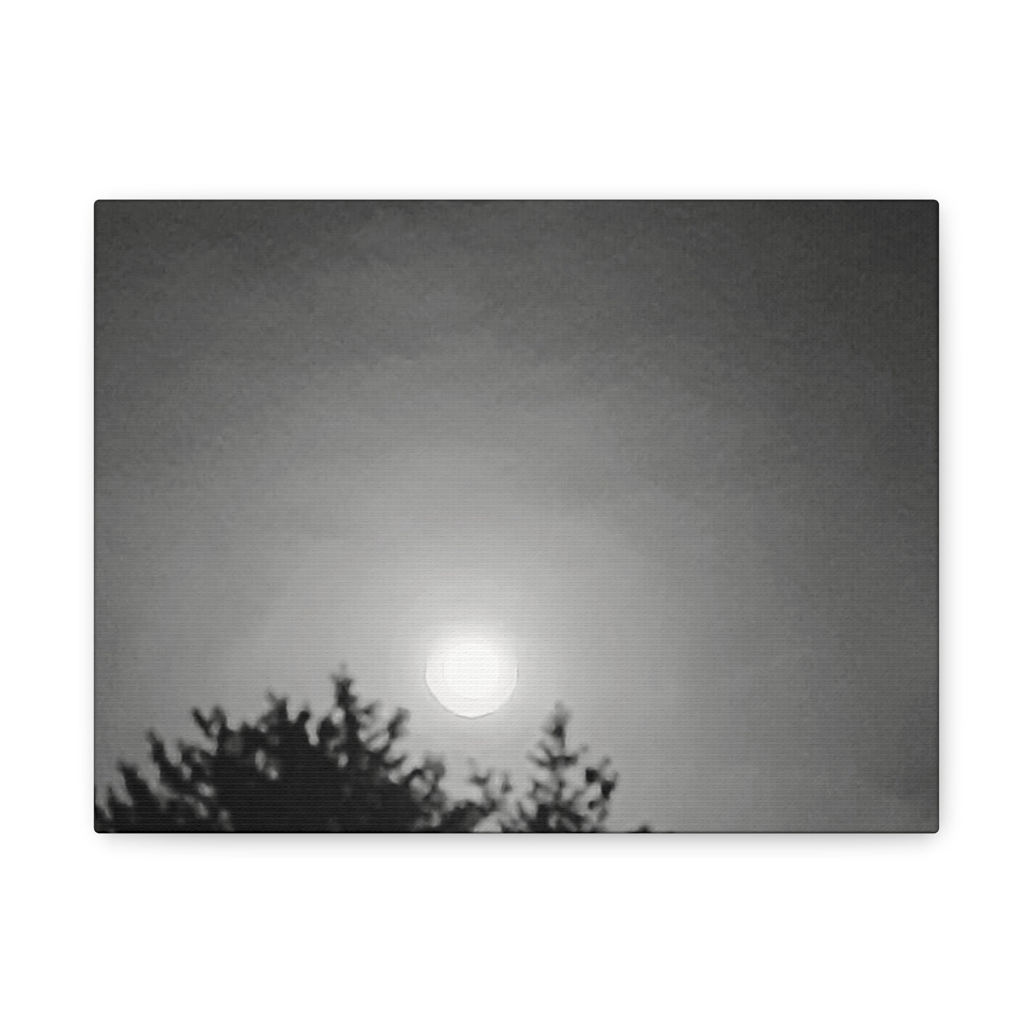 Moonlit Sky Canvas Wall Art — Black & White Night Landscape