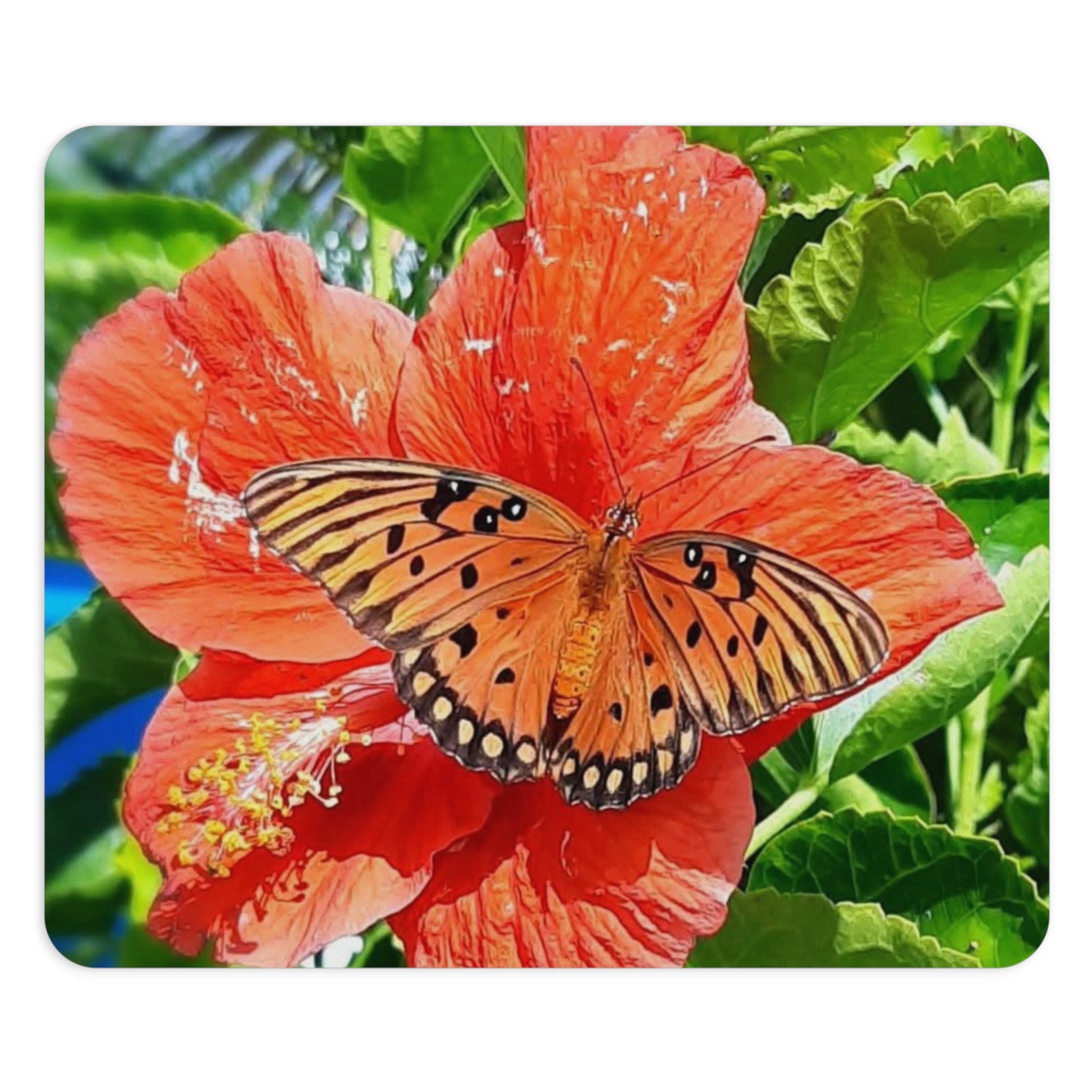 Butterfly on Hibiscus Mouse Pad — Tropical Floral Desk Mat