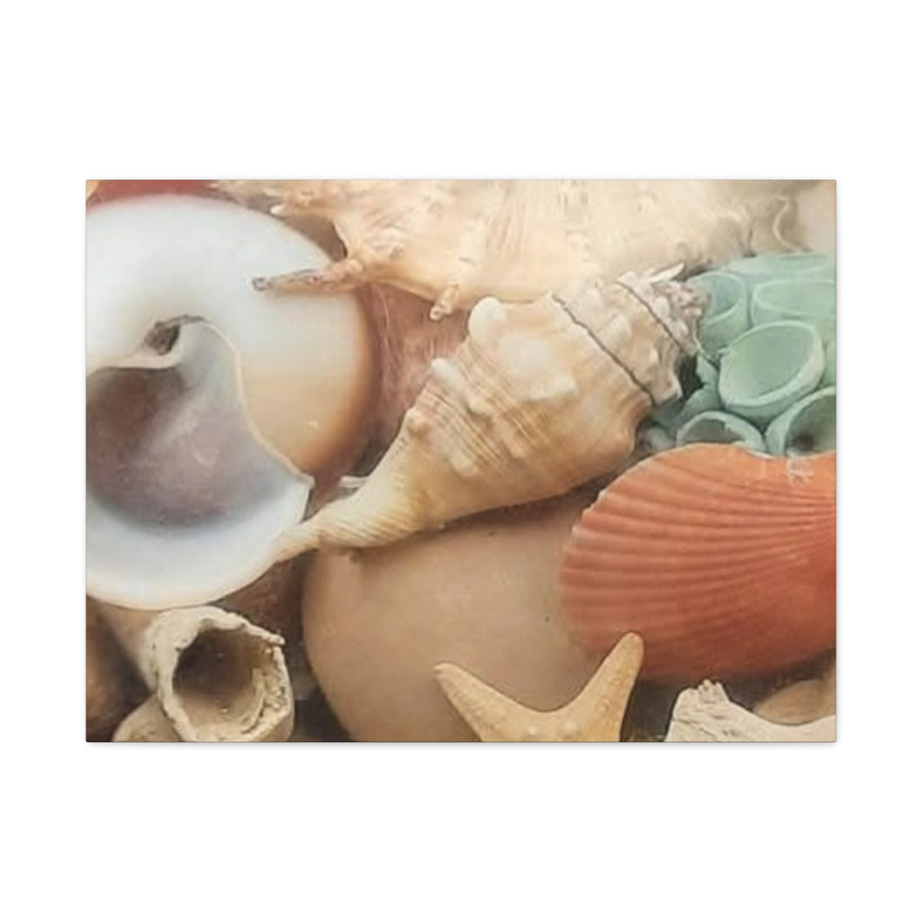 Seashells Beach Canvas Wall Art – Matte Stretched 1.25"