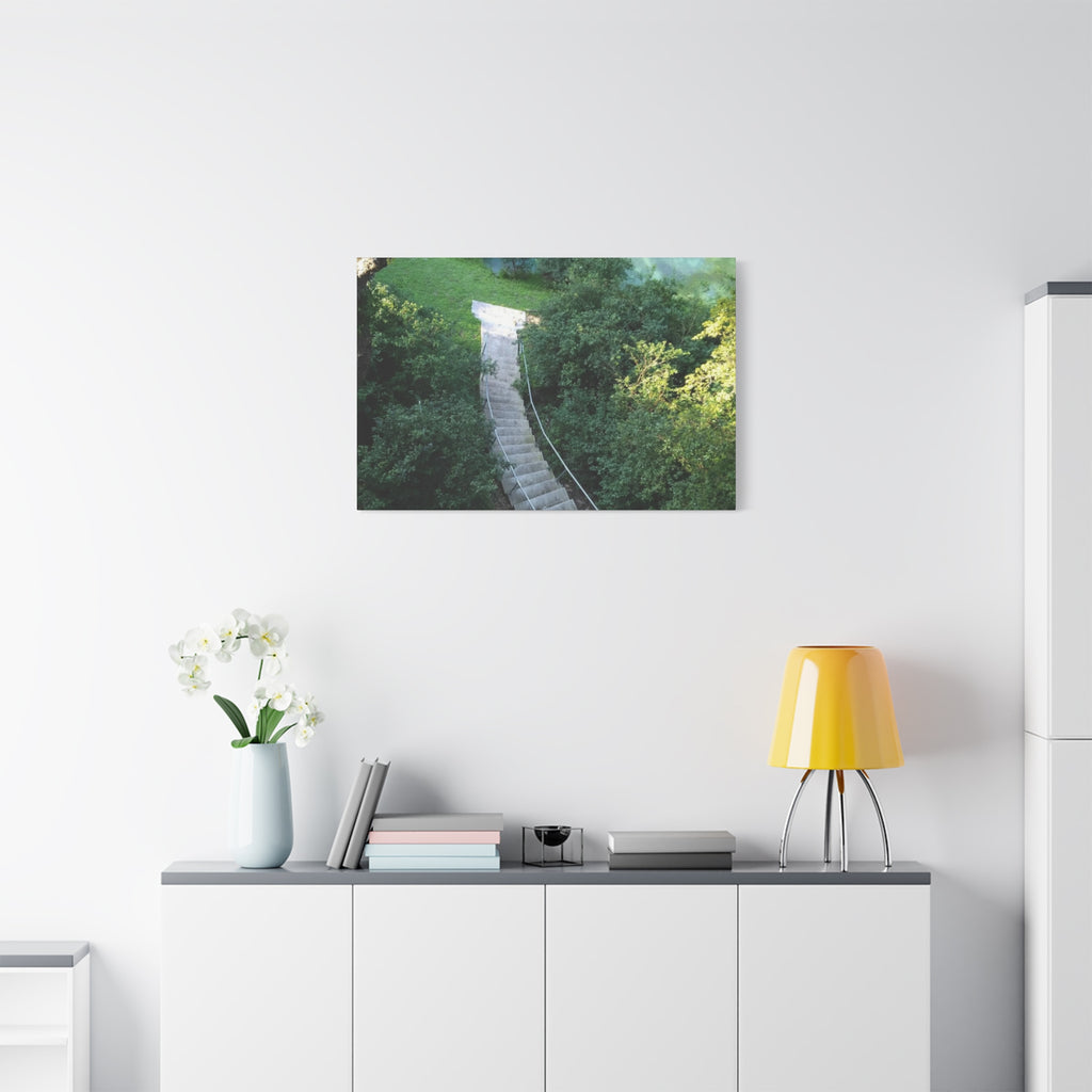 Canvas Wall Art - Forest Stairway Matte Stretched Canvas (1.25")