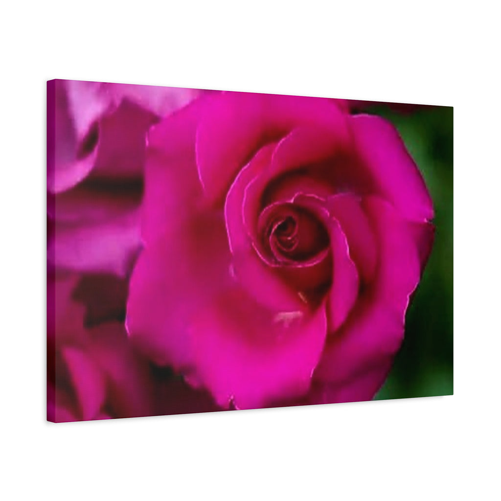 Hot Pink Rose Canvas Wall Art — Stretched Matte Floral Print