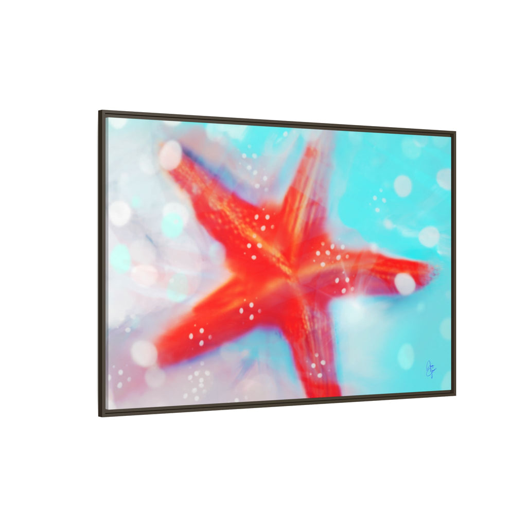 Starfish Life