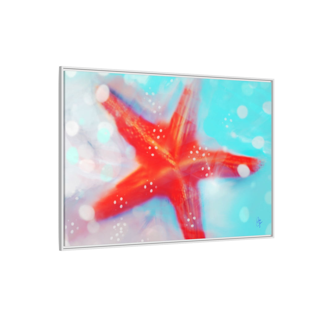 Starfish Life