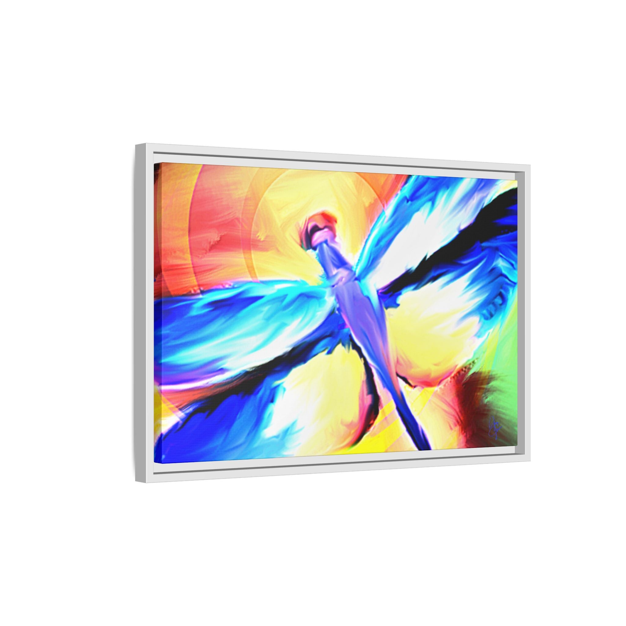 Dragonfly Rainbow