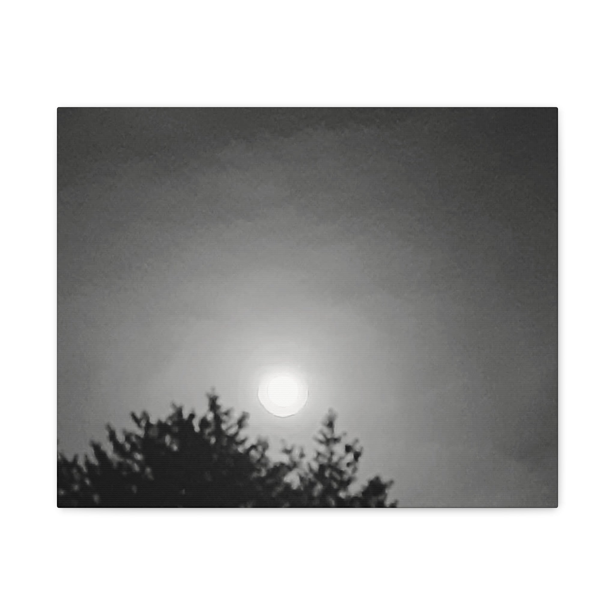 Moonlit Sky Canvas Wall Art — Black & White Night Landscape