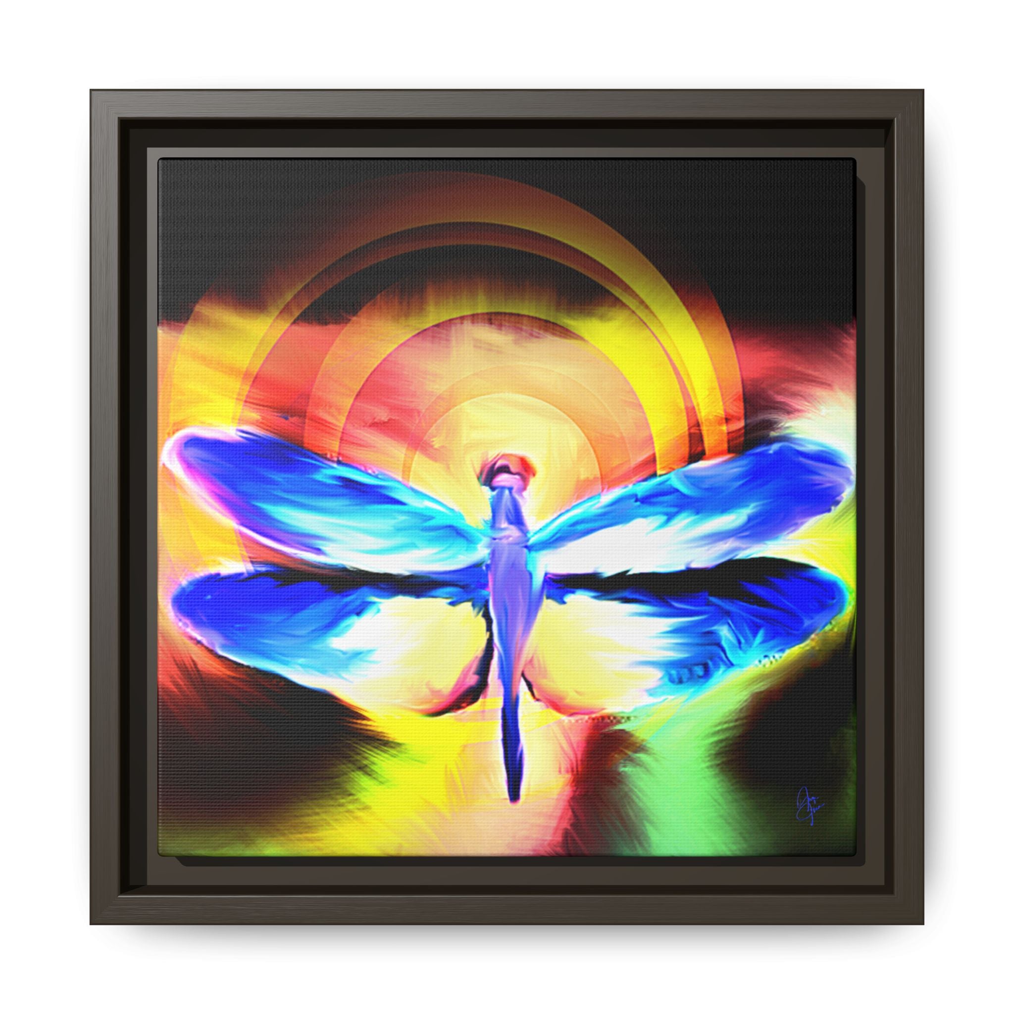 Dragonfly Rainbow