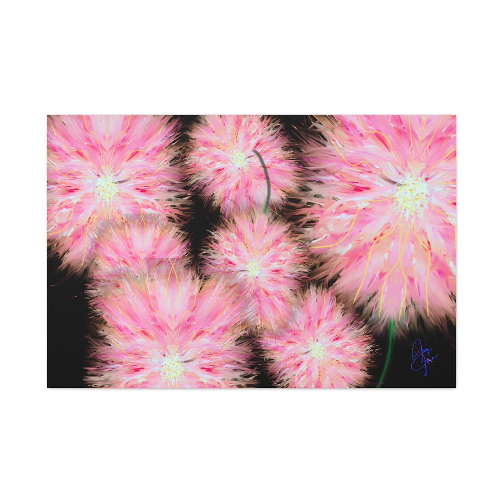Pink Dandelion Burst Canvas Print — Stretched 1.5" Floral Wall Art