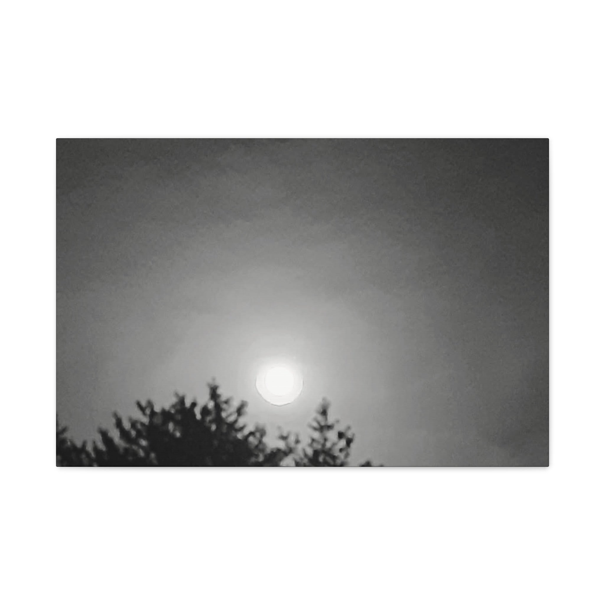 Moonlit Sky Canvas Wall Art — Black & White Night Landscape